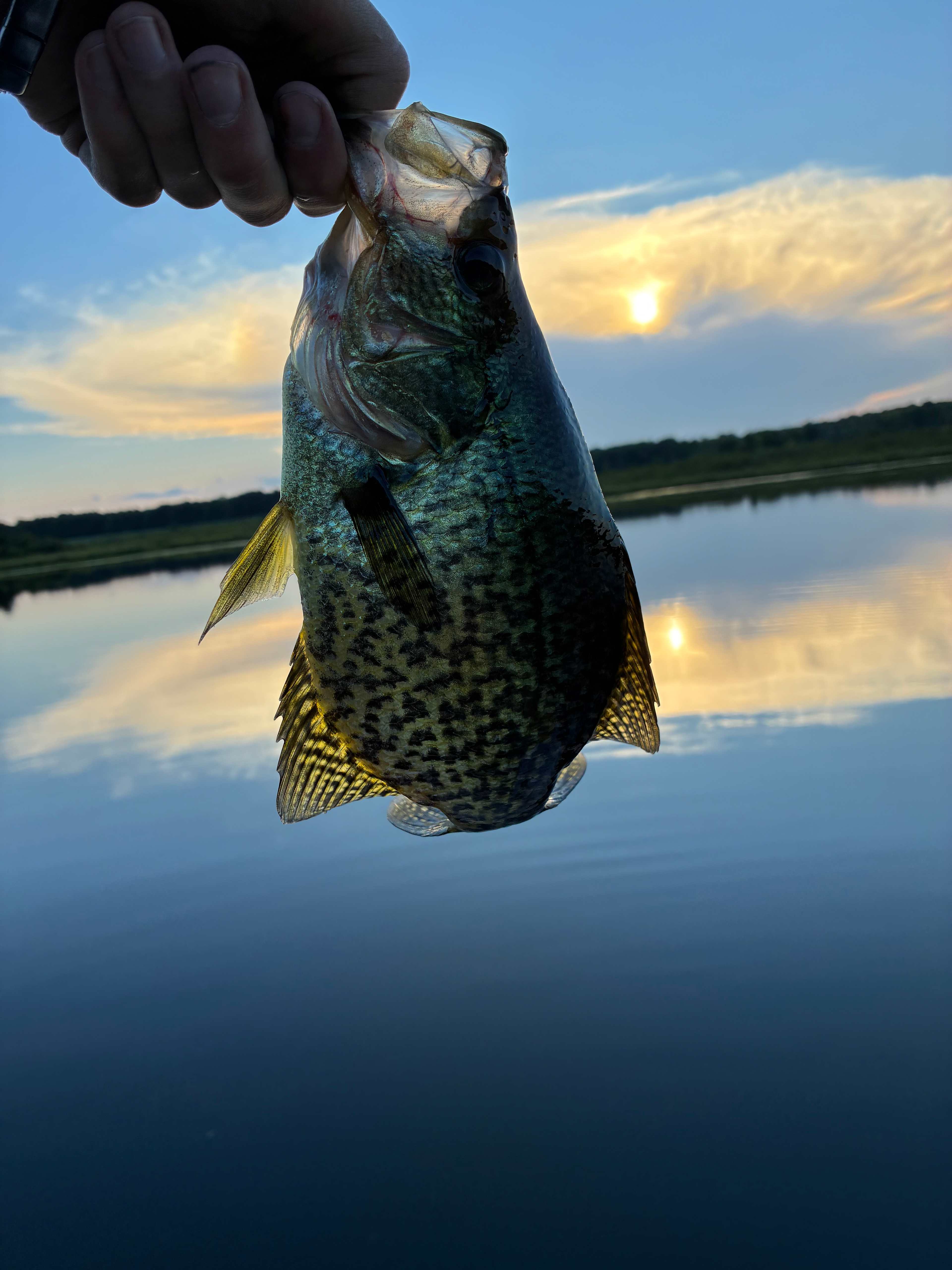 Good fishing
