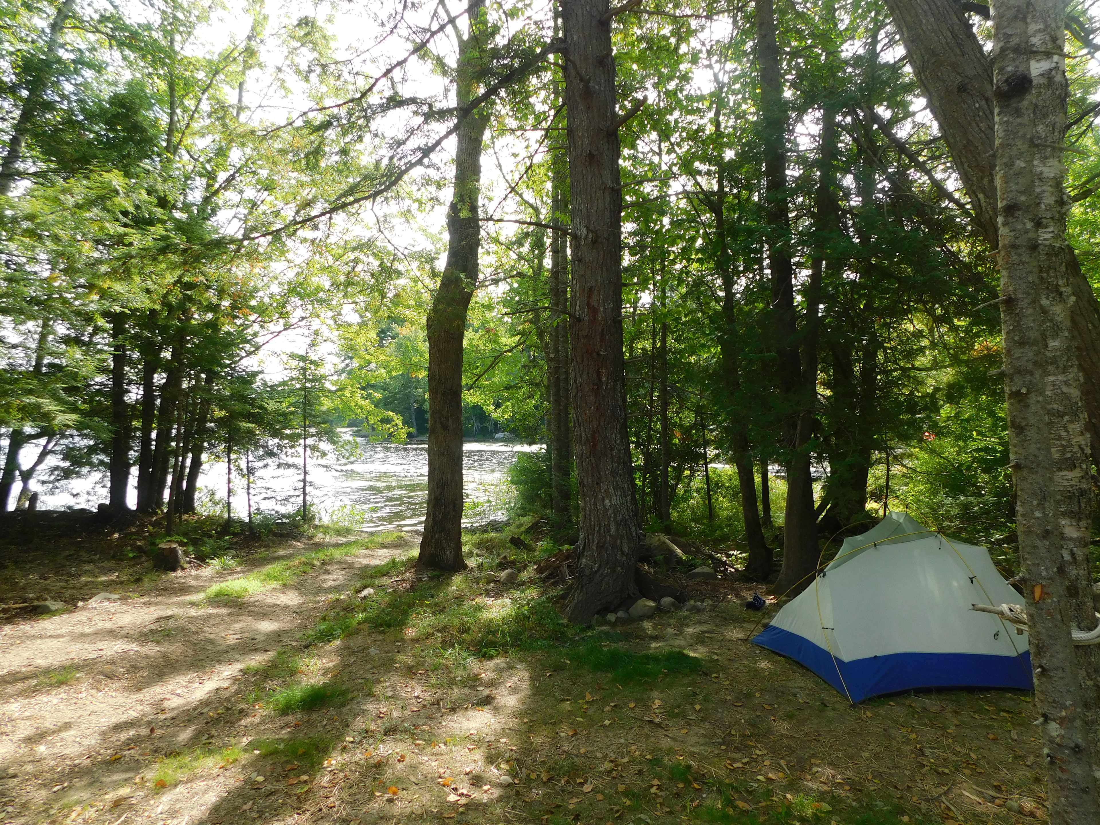 Whispering Pines