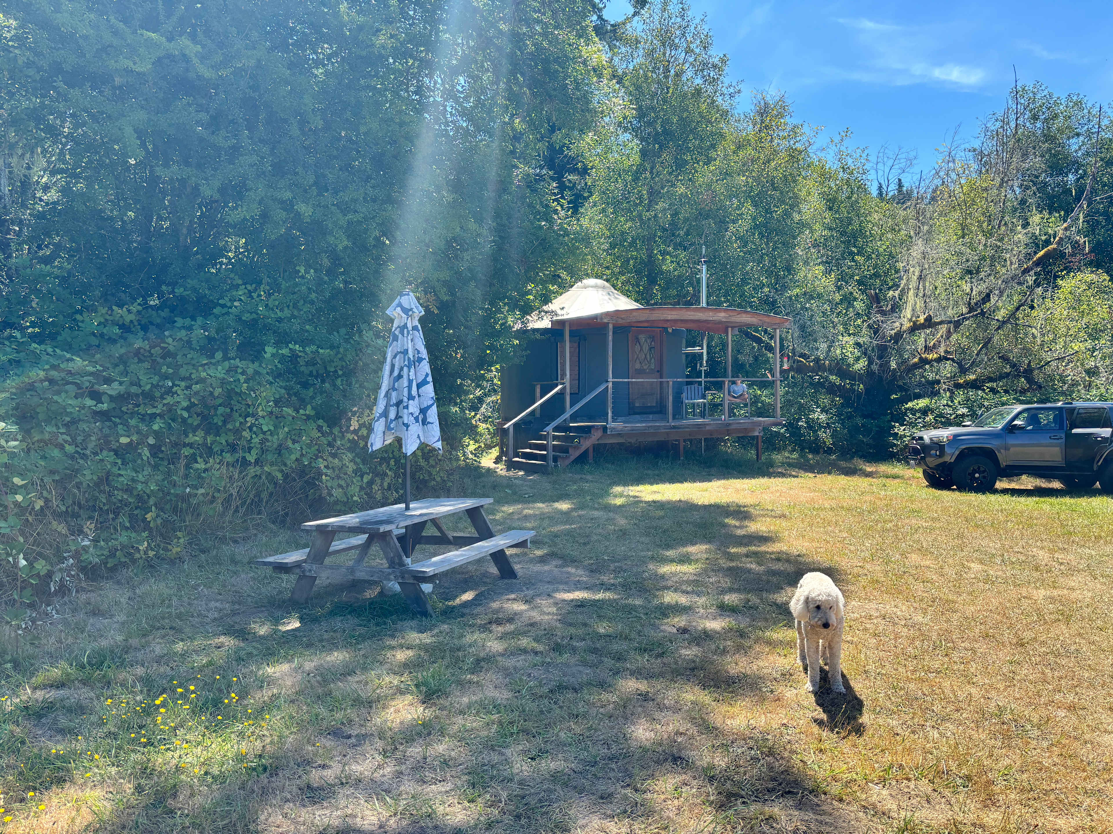 Squared Roots Farm Yurt