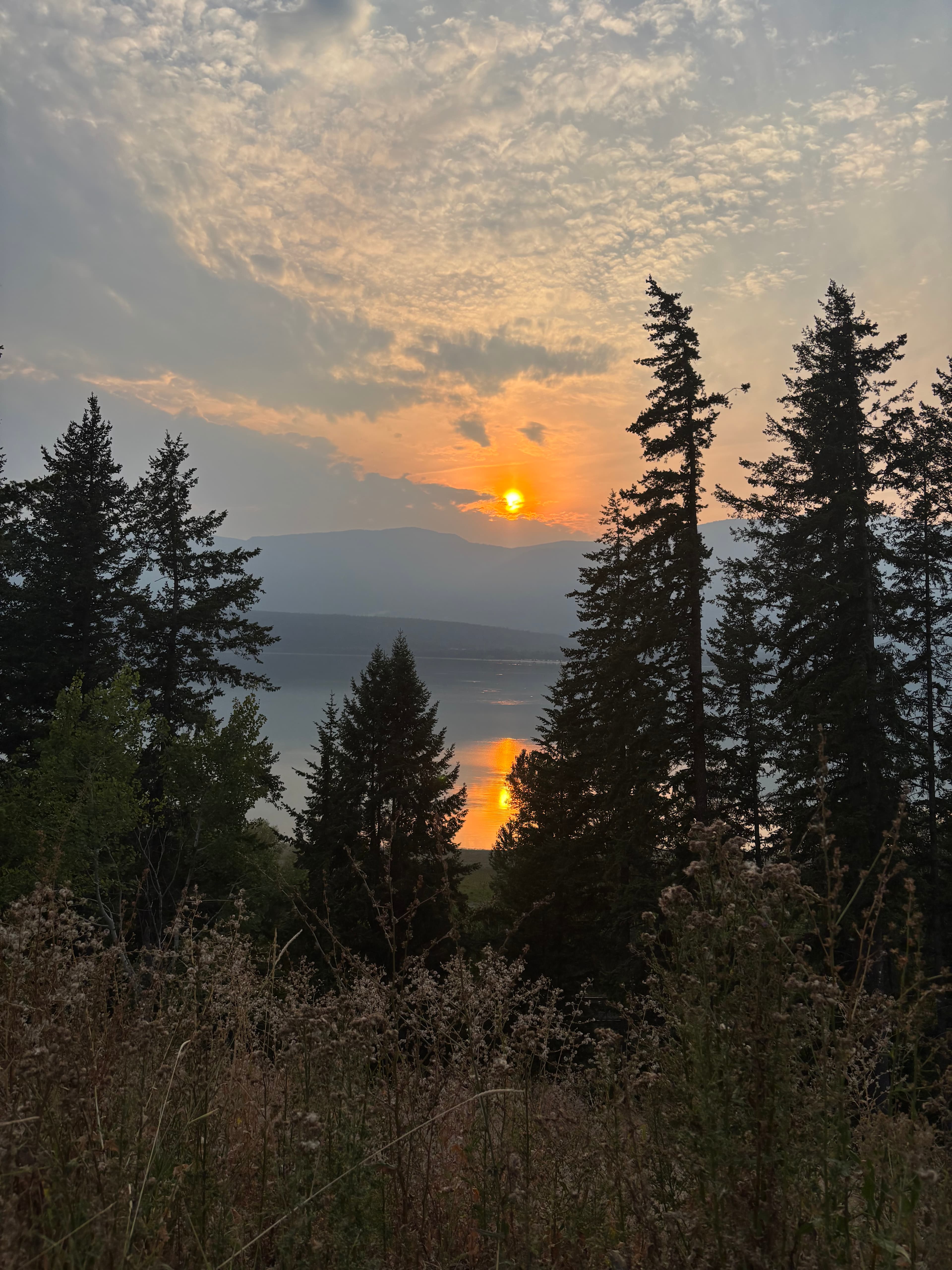 Shuswap Family Camping 🏕️