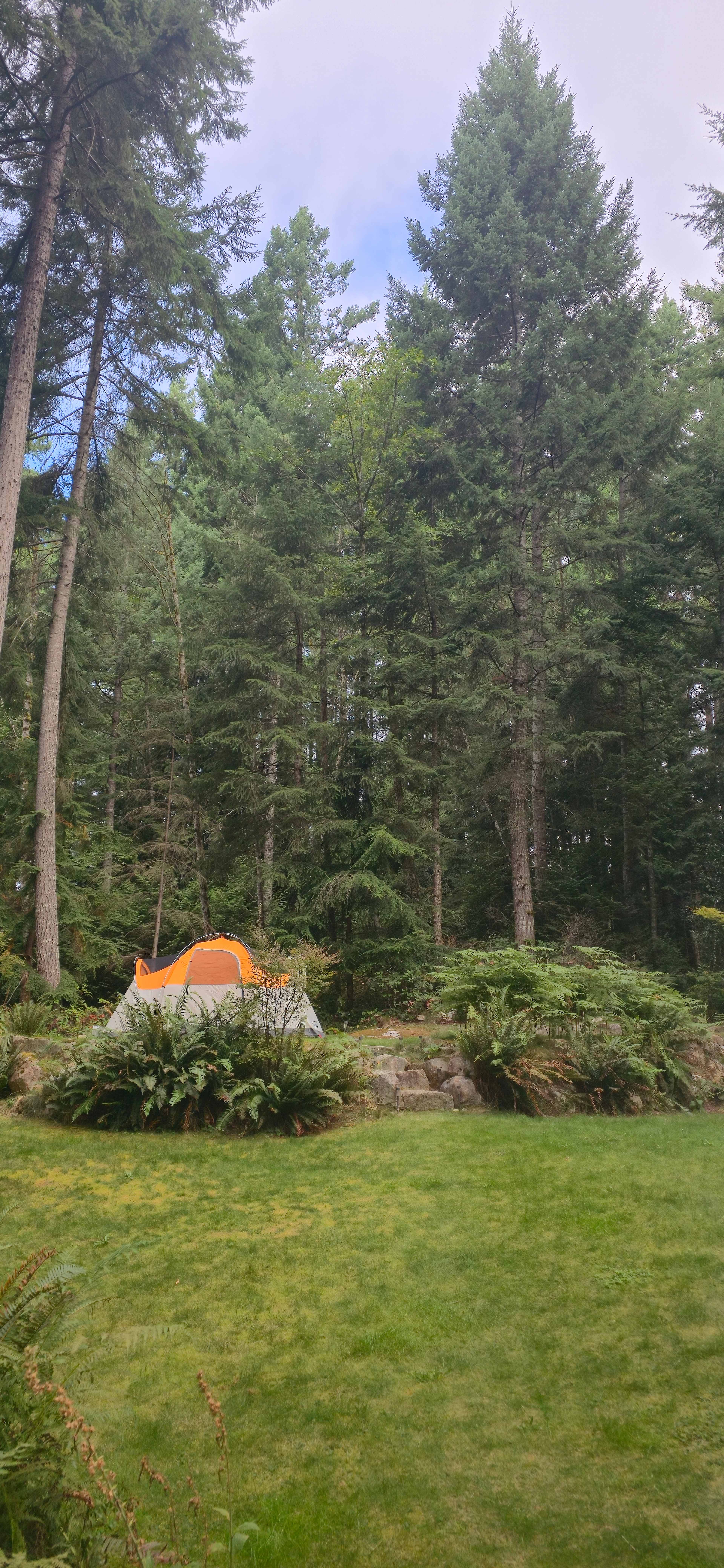 Forest Sanctuary Bell Tent