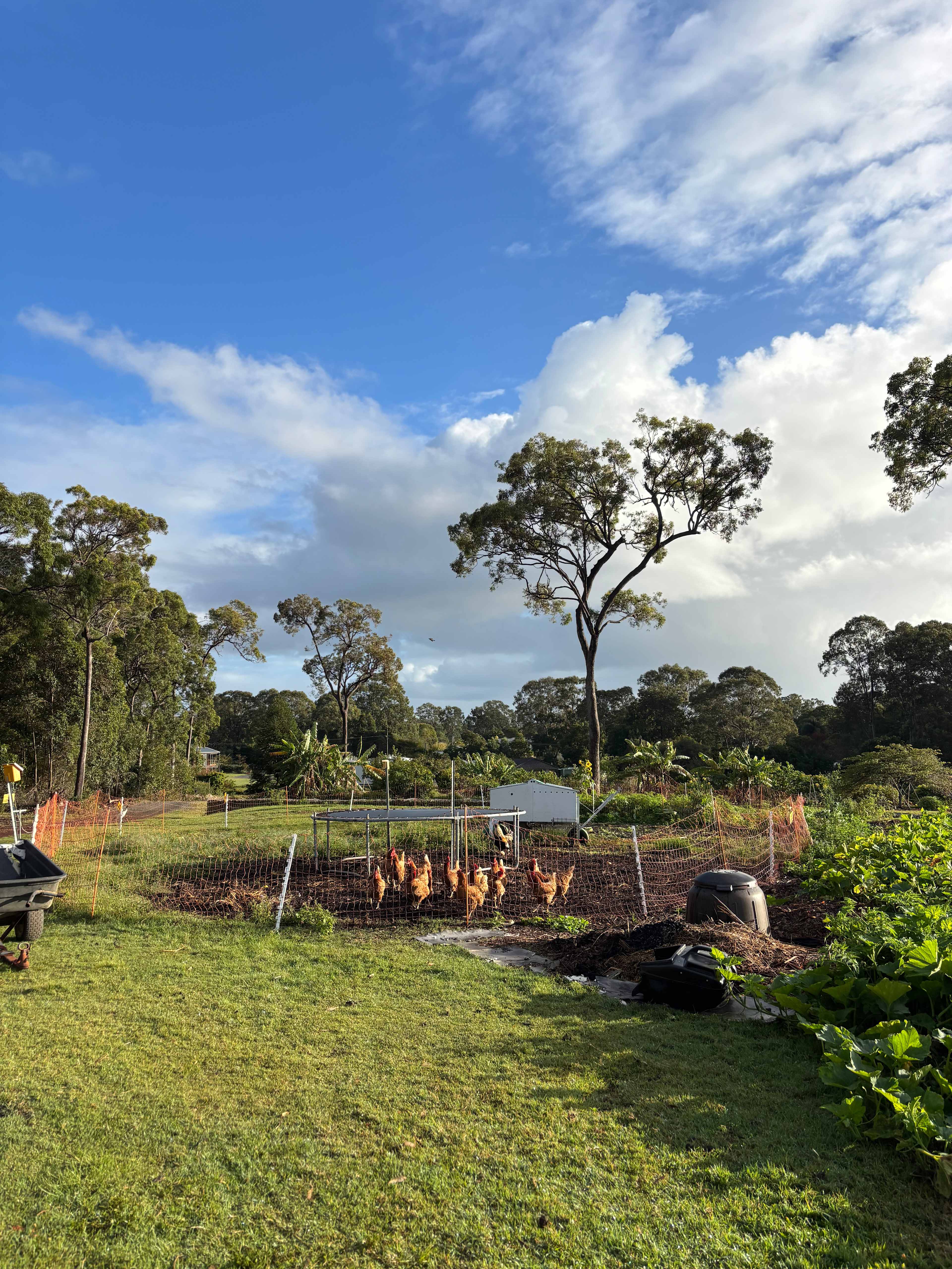 Virtue Farm K'Gari/Fraser Is view