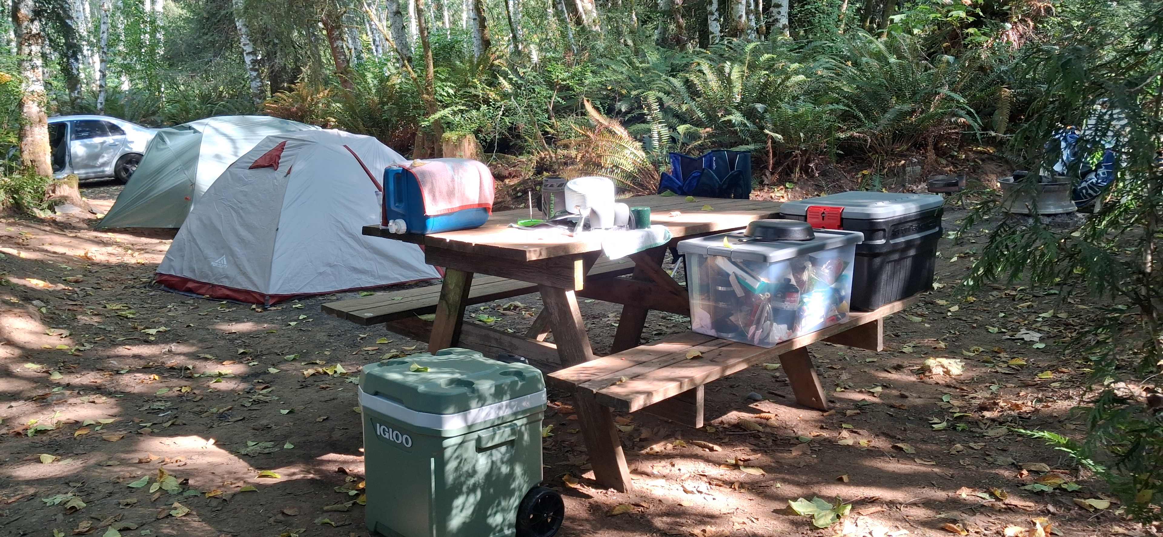 Picture of the site