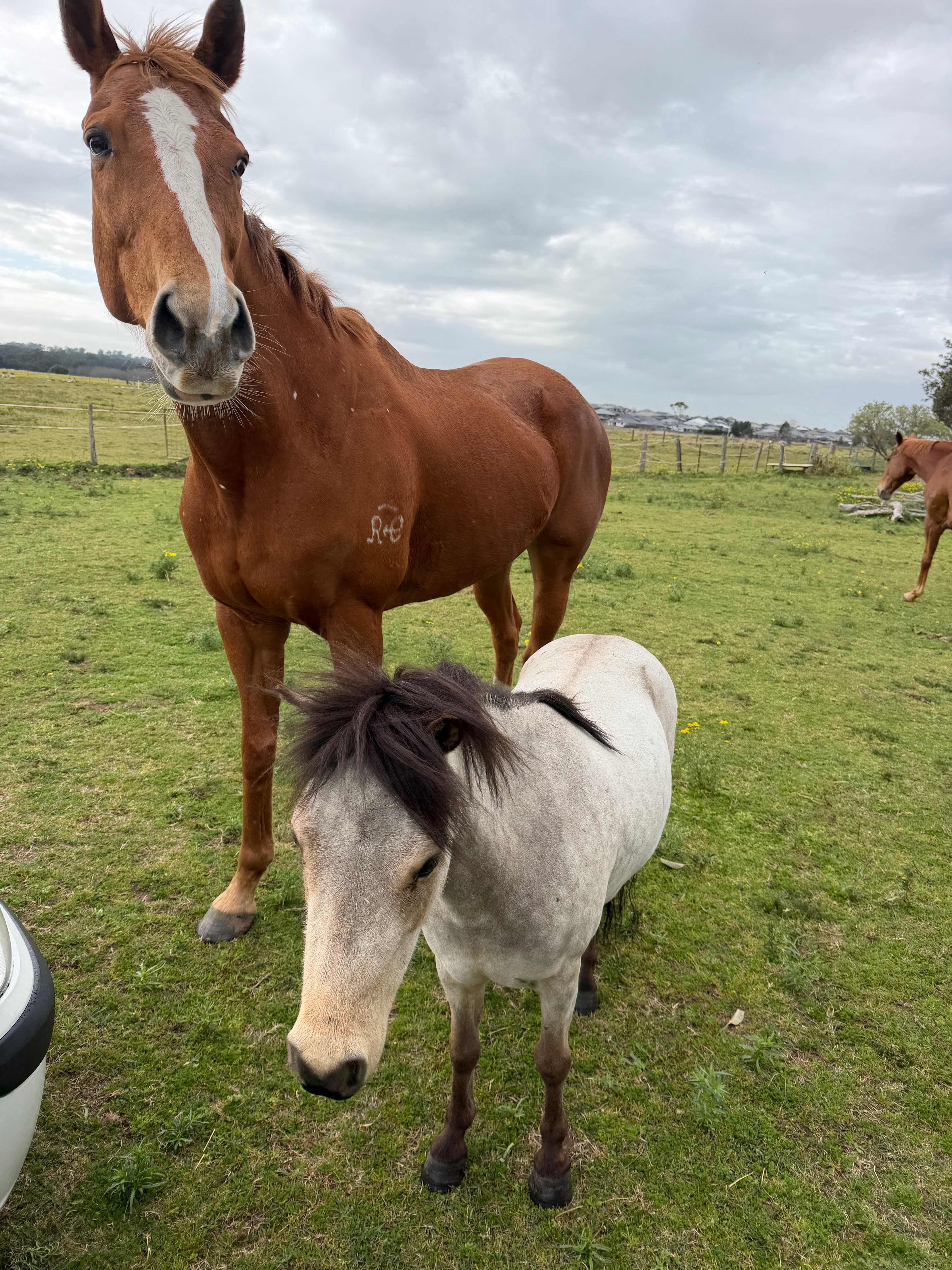 Friendly neighbours to chat whilst relaxing 