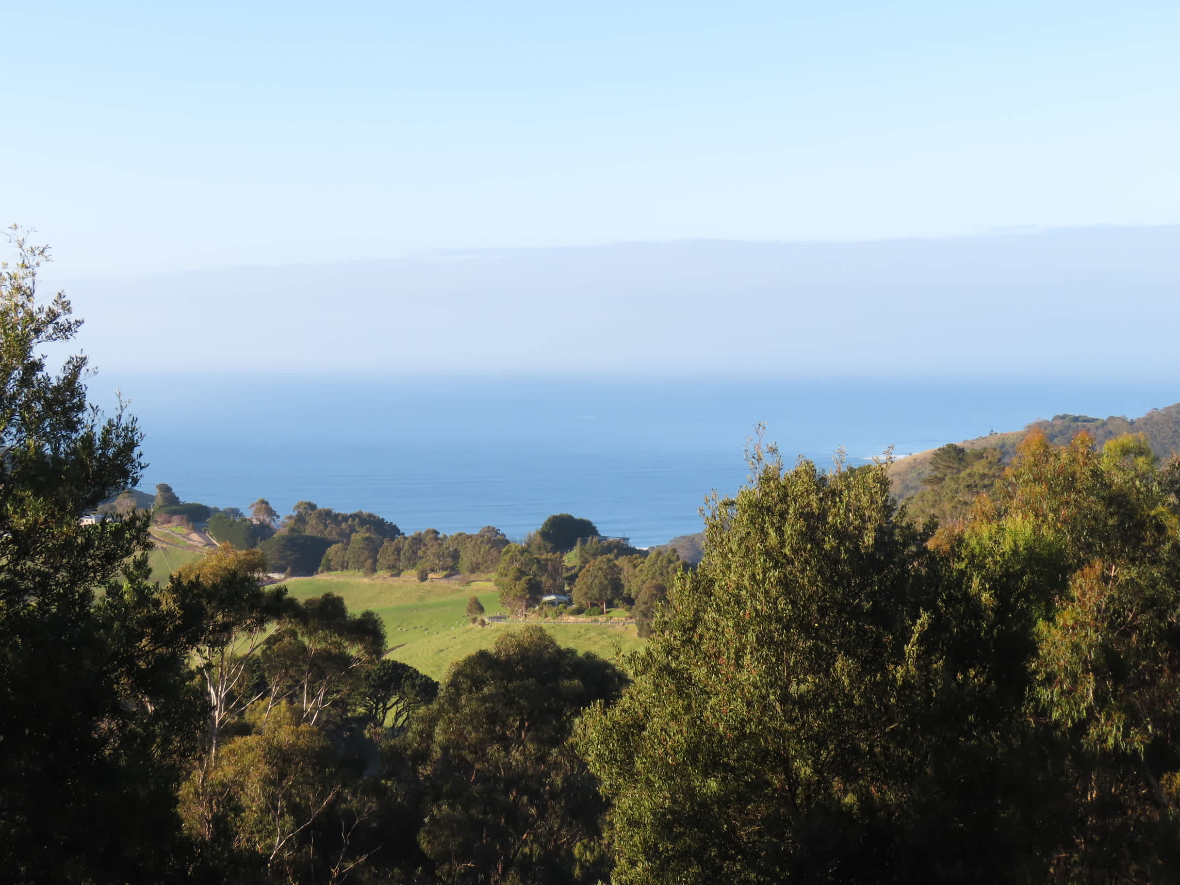 Clear Springs
