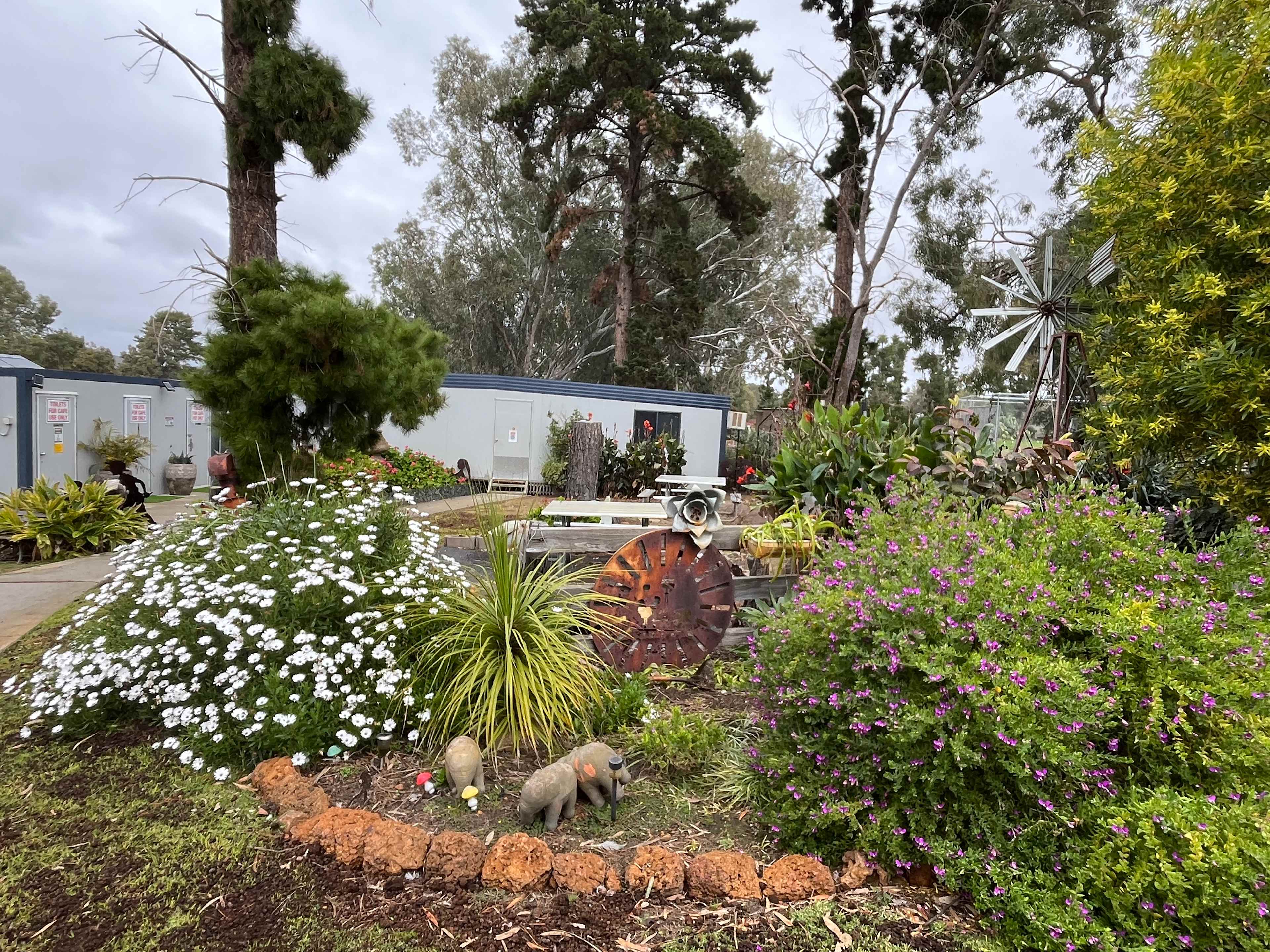 Little Eeden Farm Pine Camp