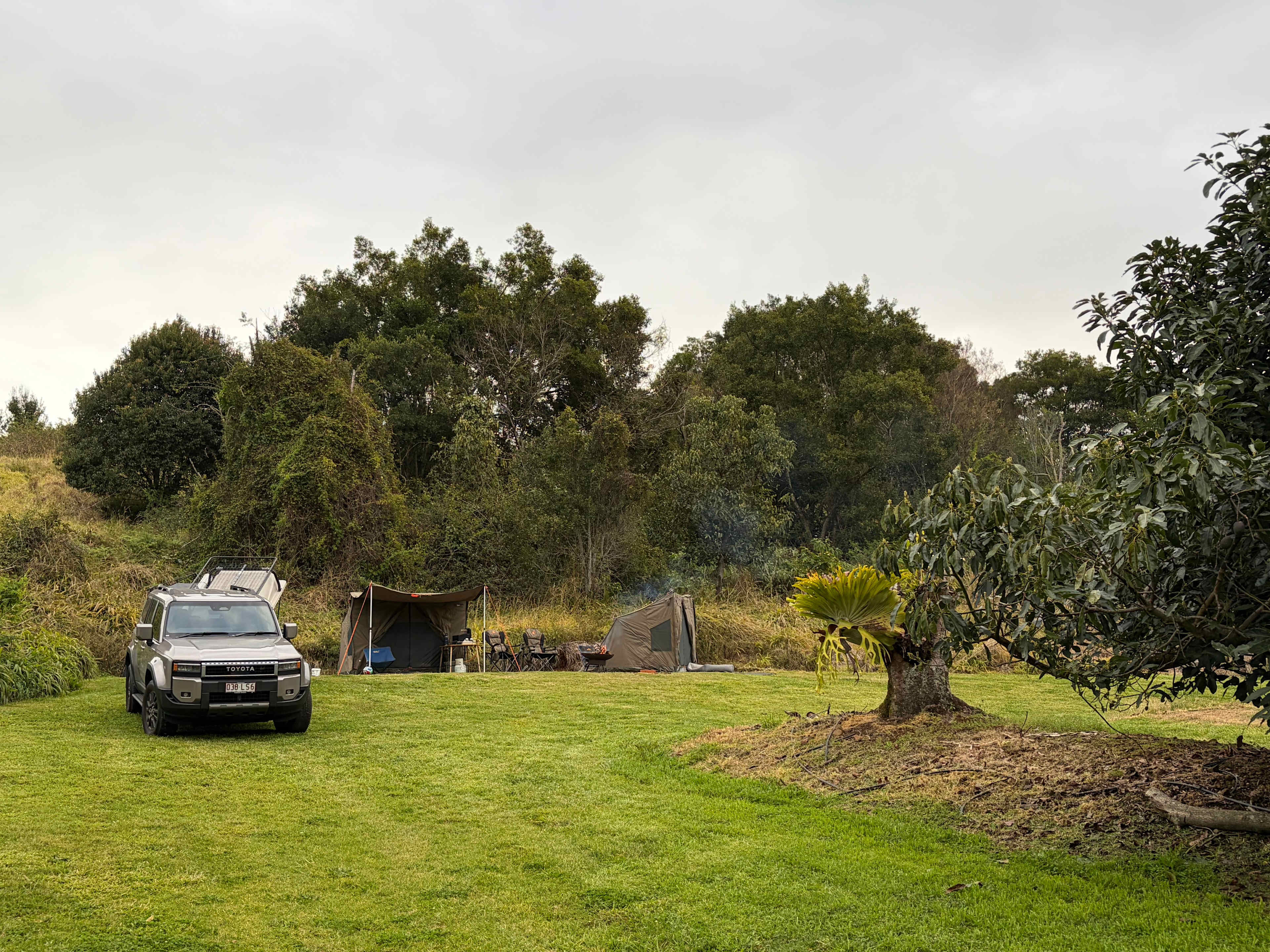 Tremayne - The Old Avocado Farm