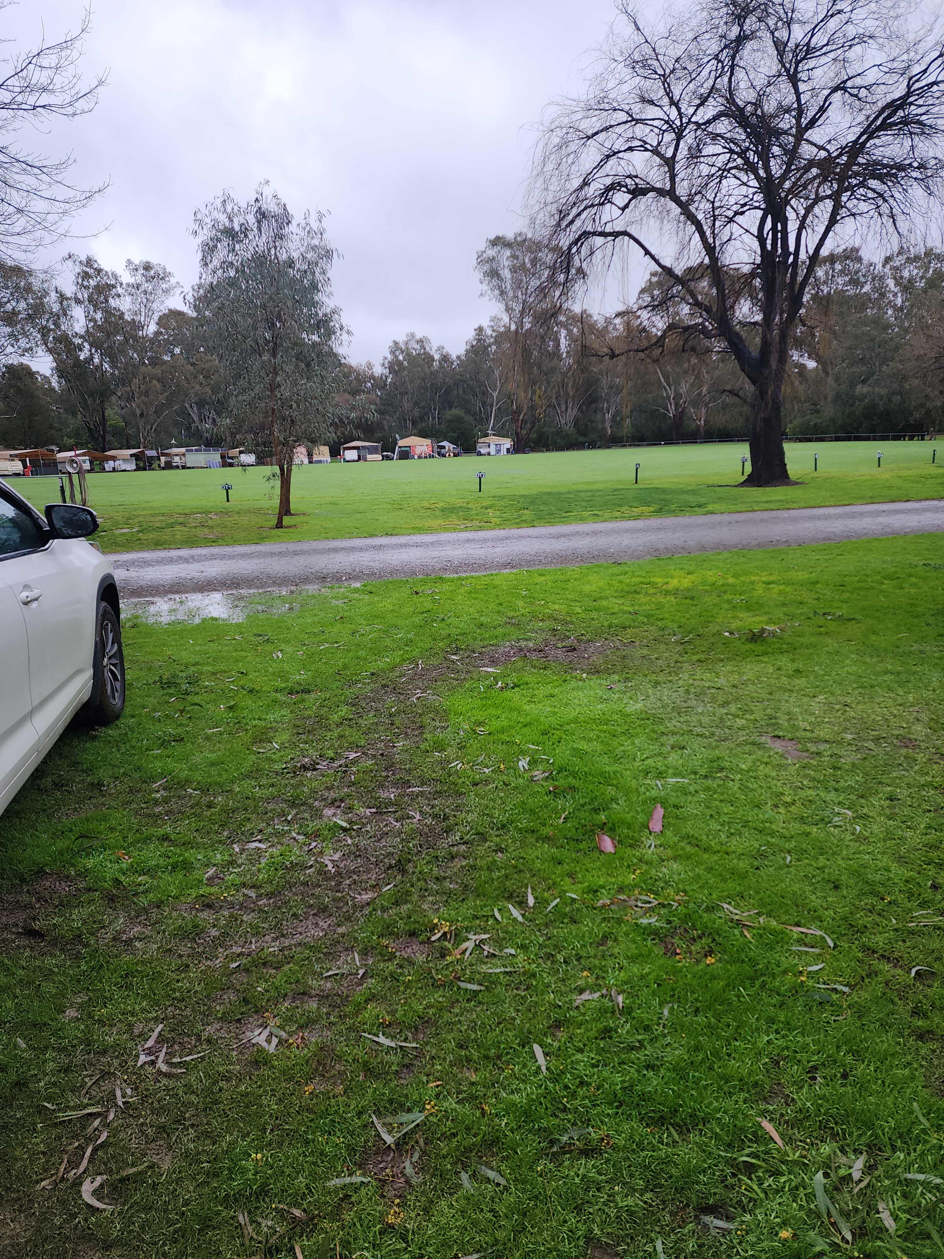 Molesworth  Caravan Park