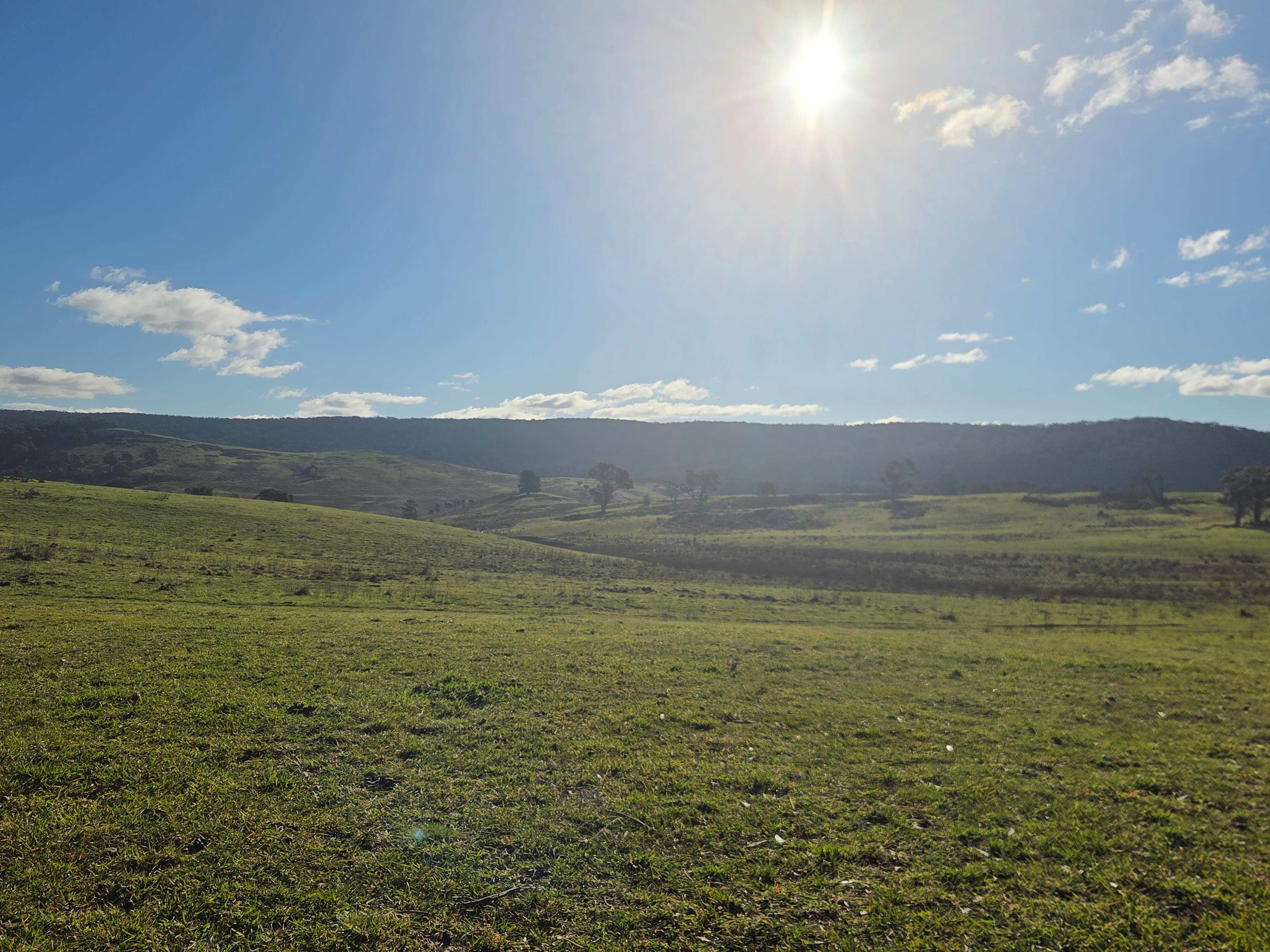 Forestvale Farm