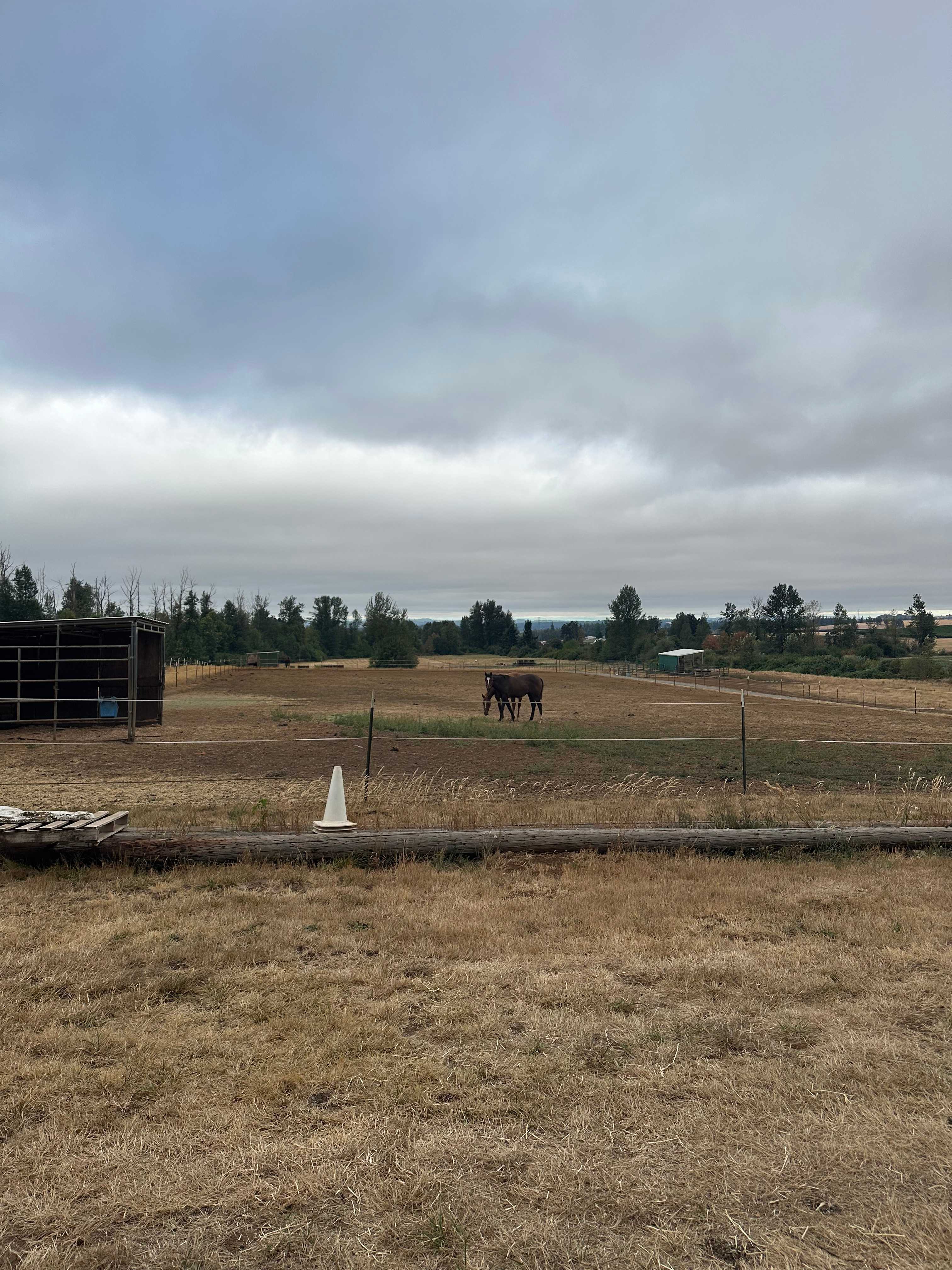 Ruah Ranch