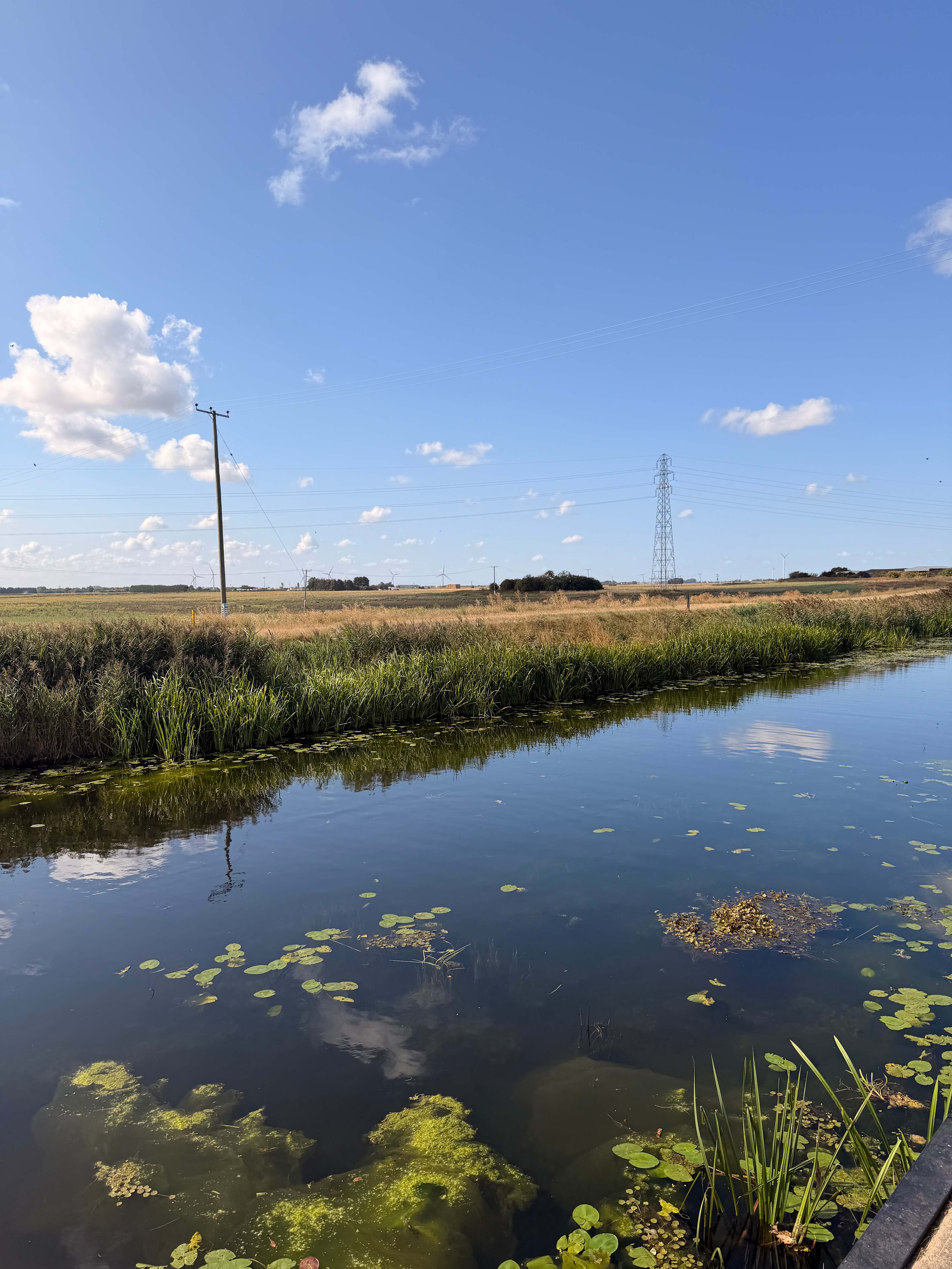 Four Winds Camping, Canoeing & SUP