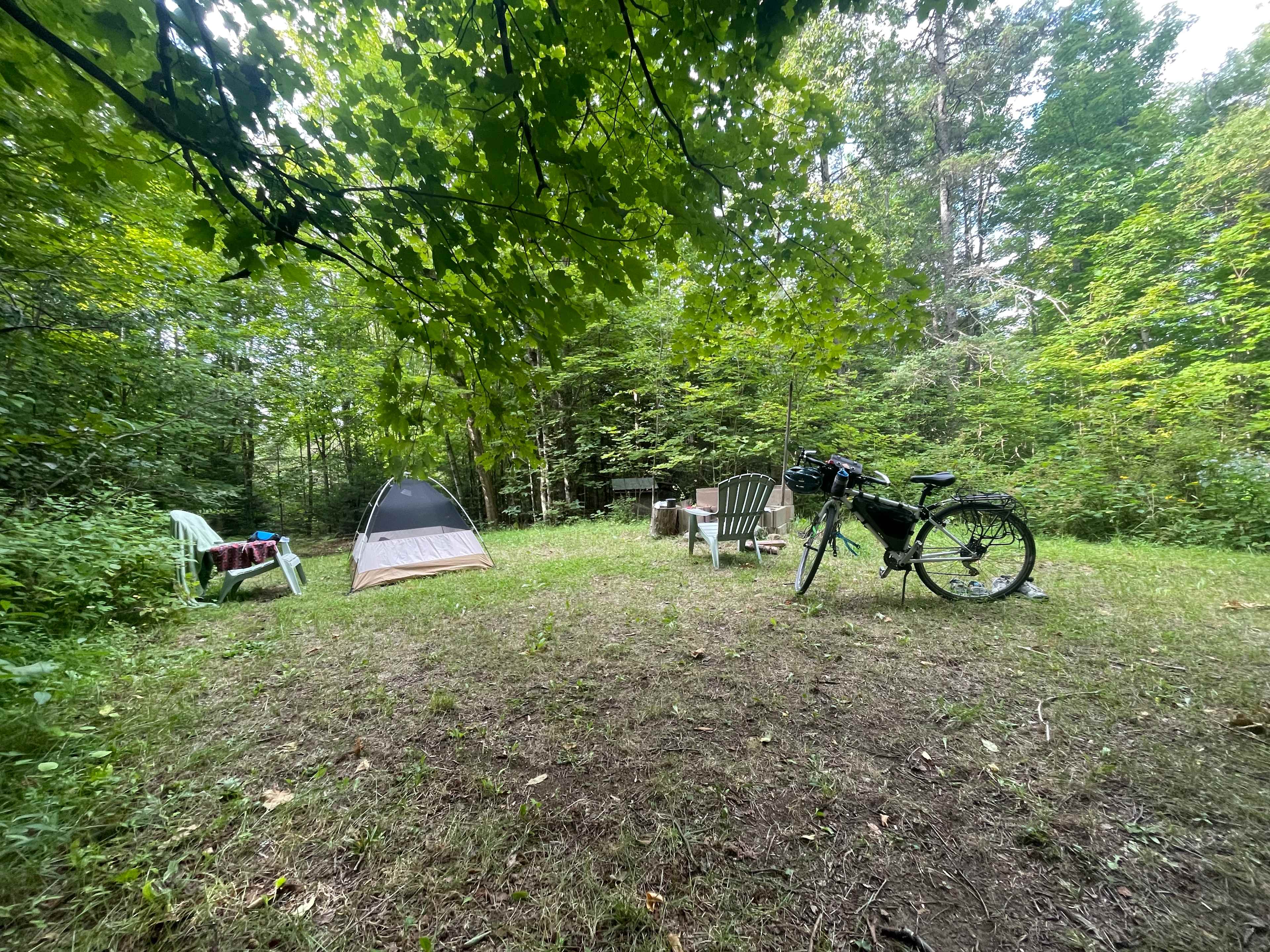 Picture of the site