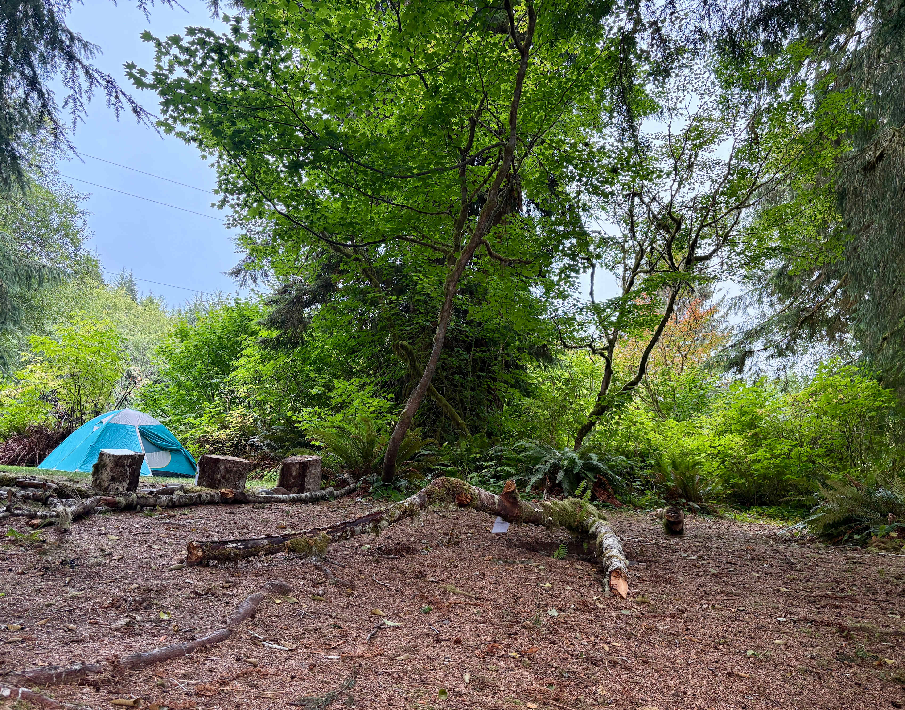 Salmon Run Campground