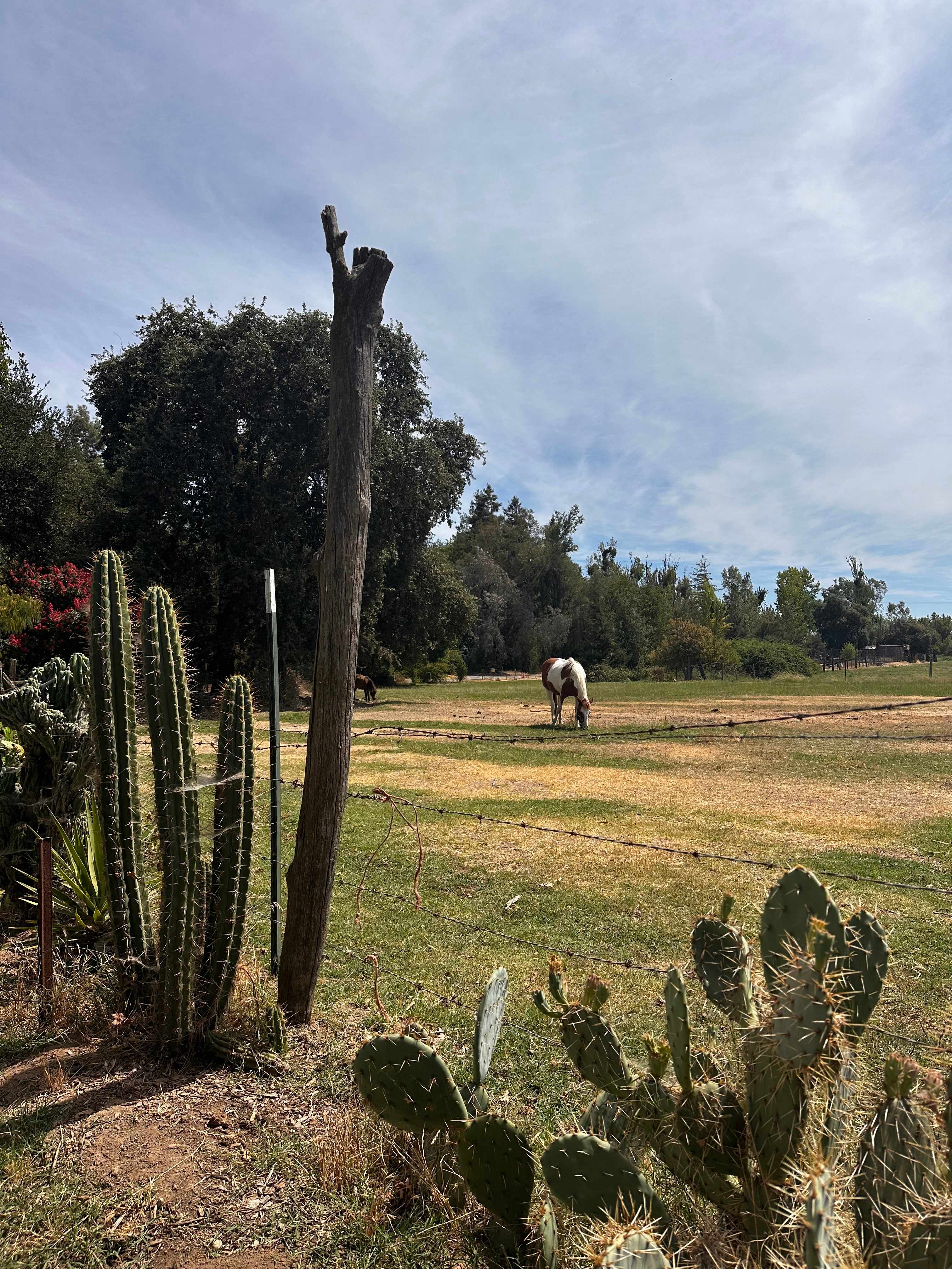 Walden Ranch