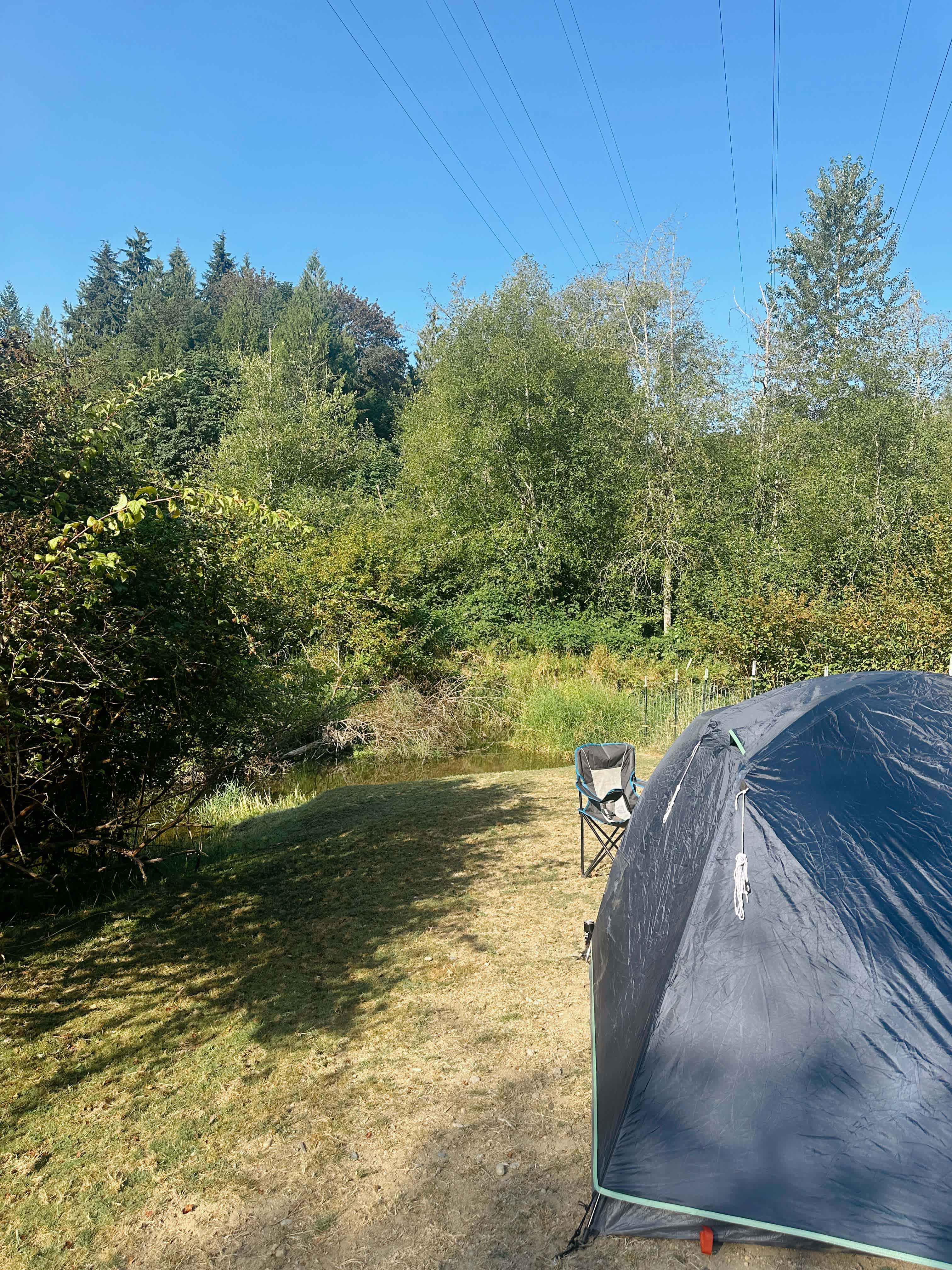 View of the spot next to the creek