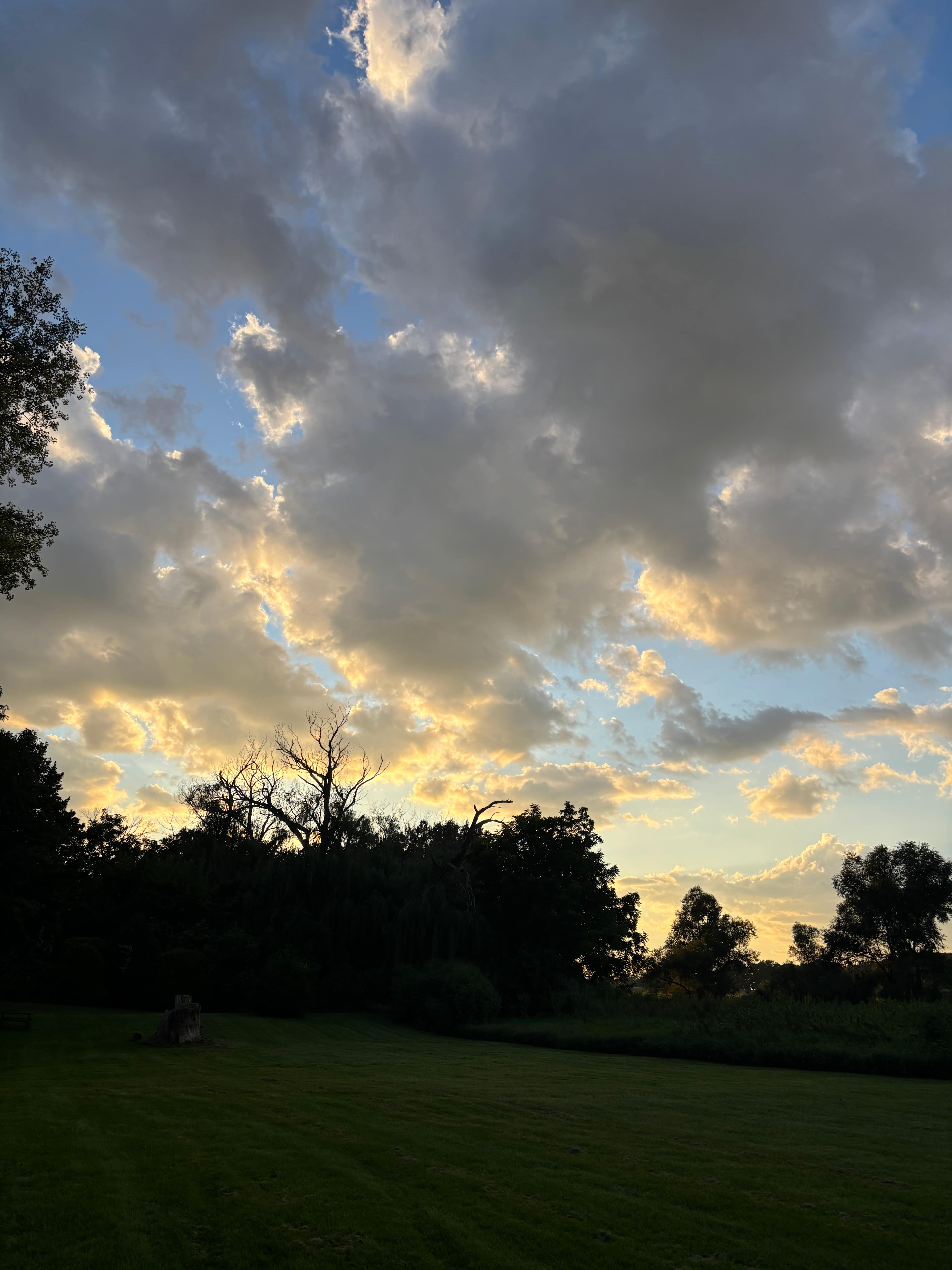 Escape to Nature
