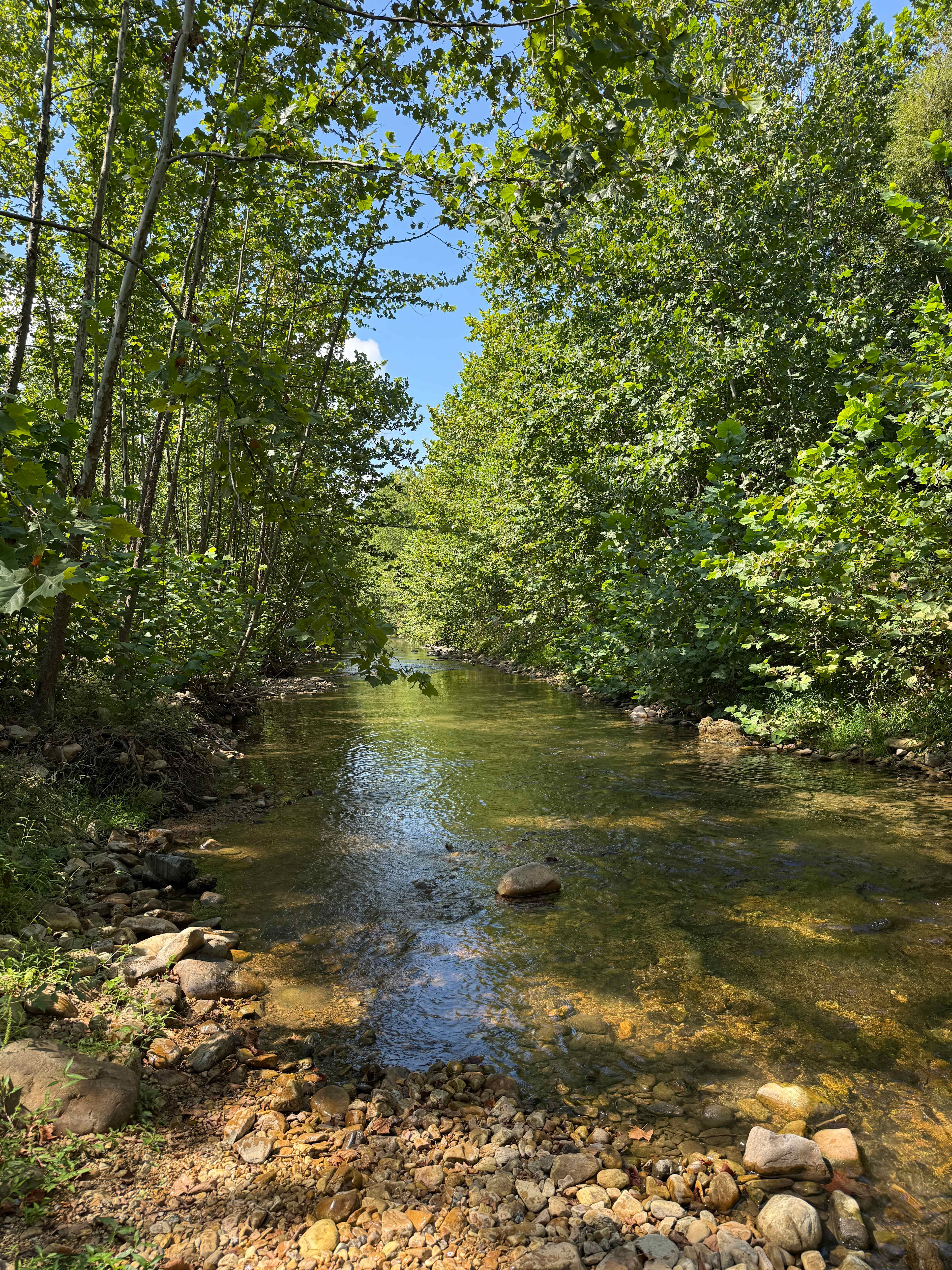 Swedish Lilac Campground & Events