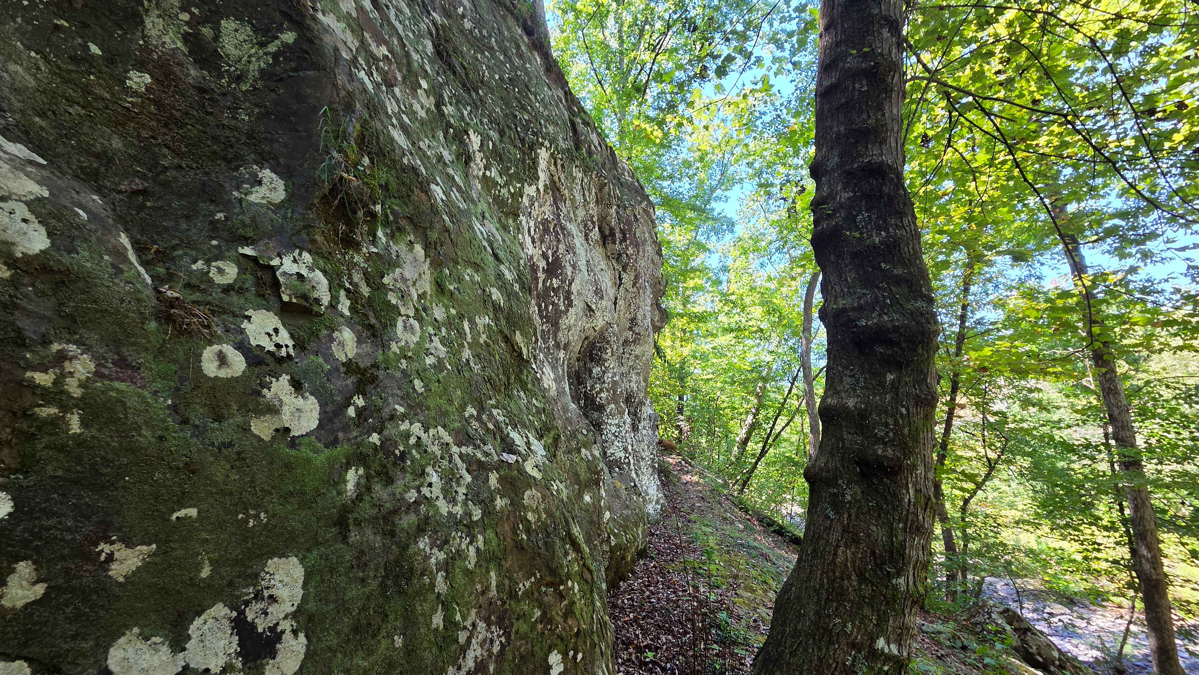 Pinnacle Springs Recreational Park