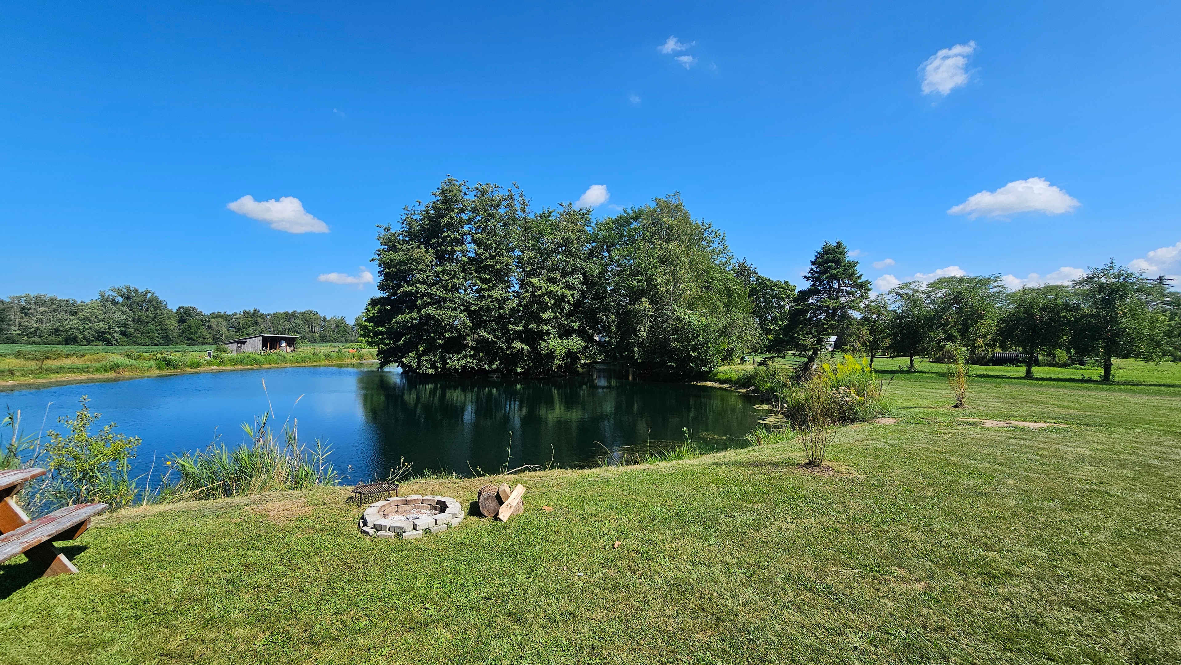 Pond site view