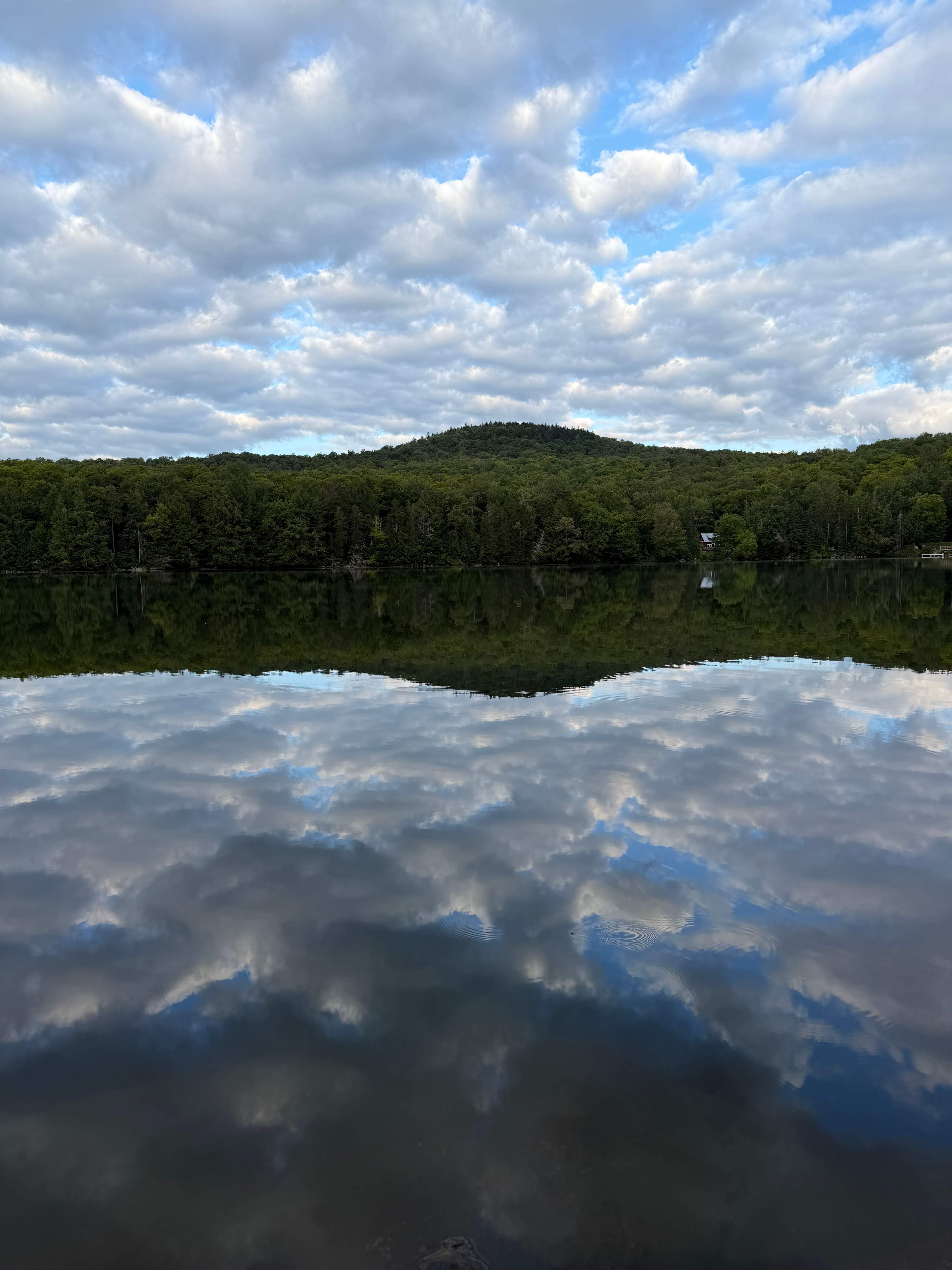 The Alcove at Martin's Pond