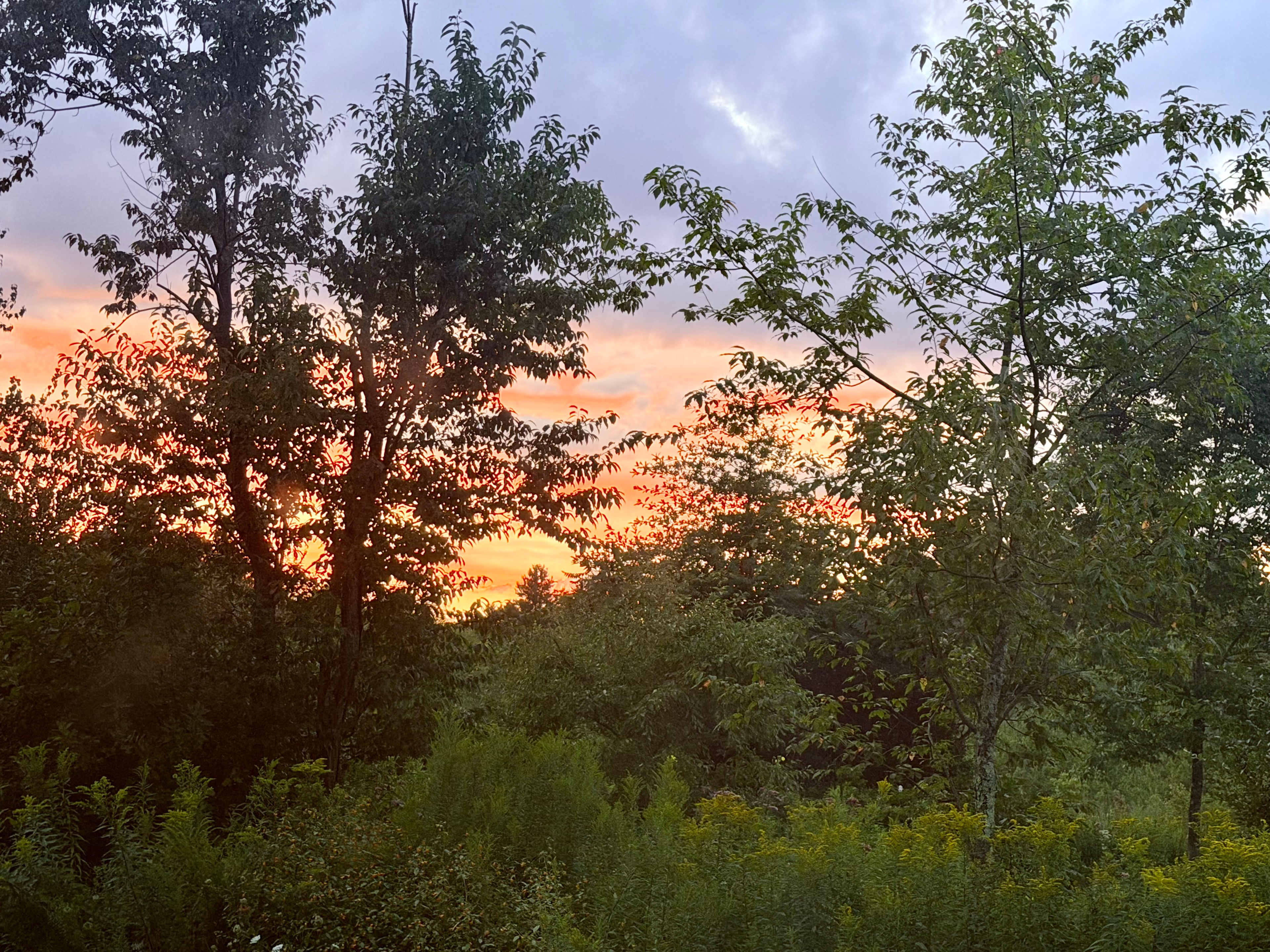 Wyomanock Farm