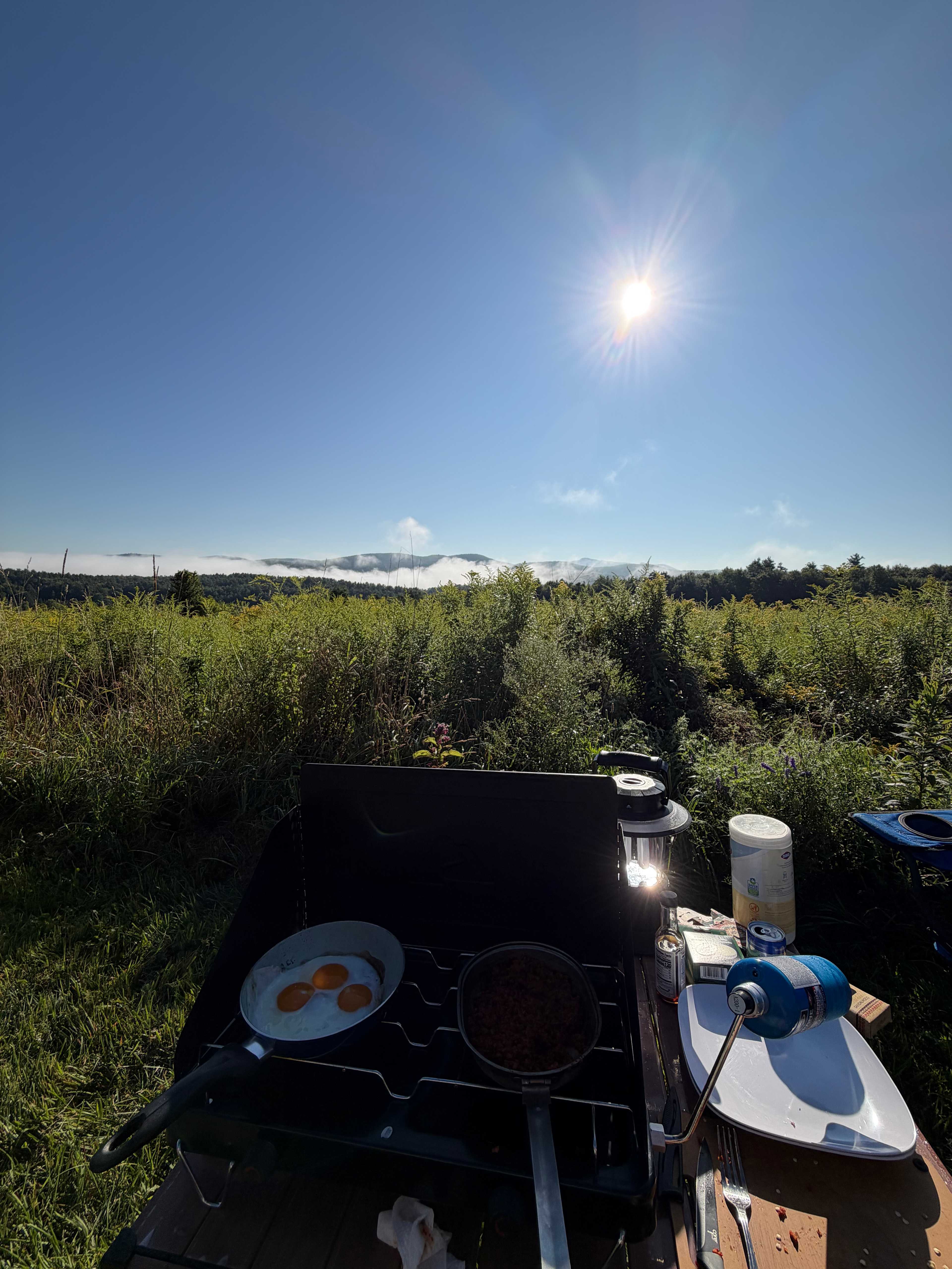 Harold's View Farm