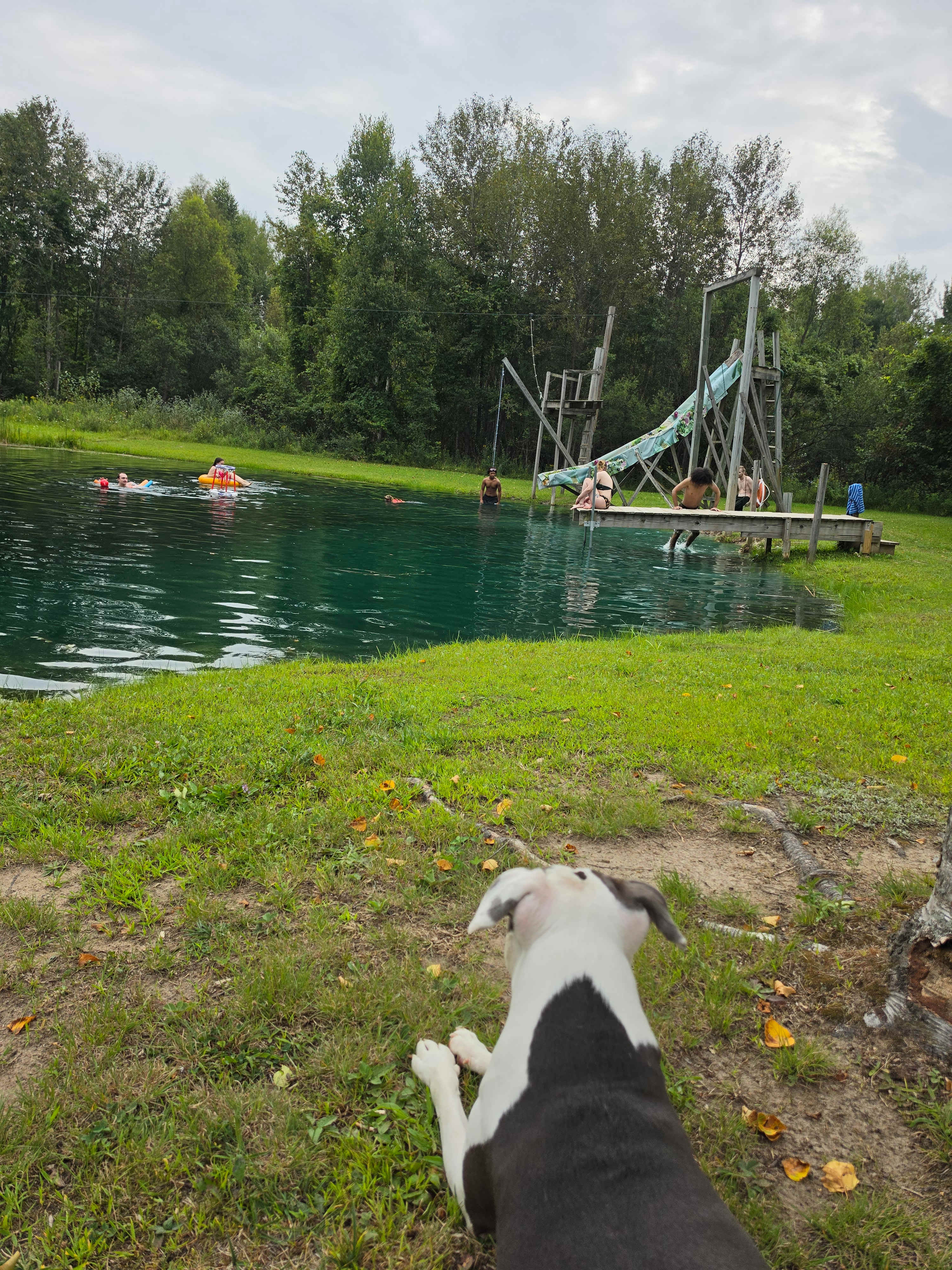 Camp Bear Paw LLC