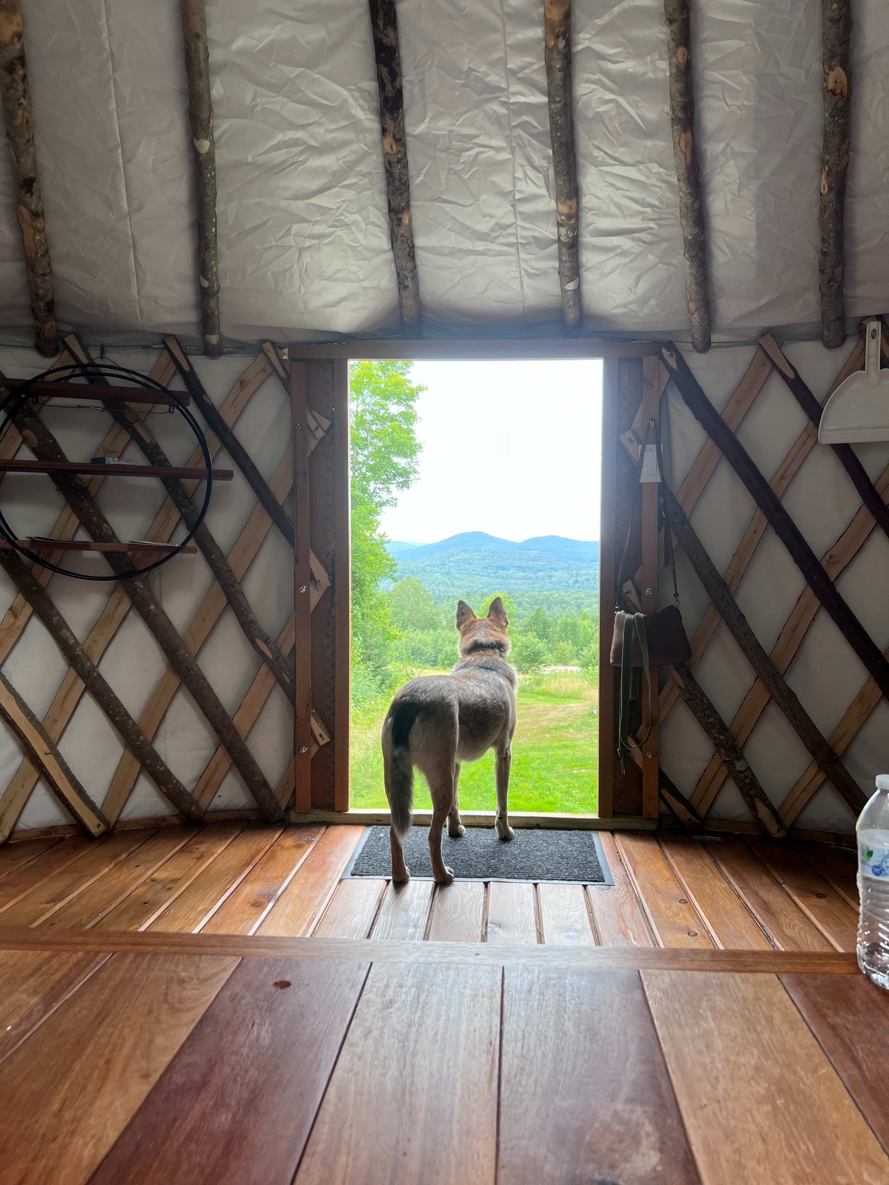 The best view to wake up to