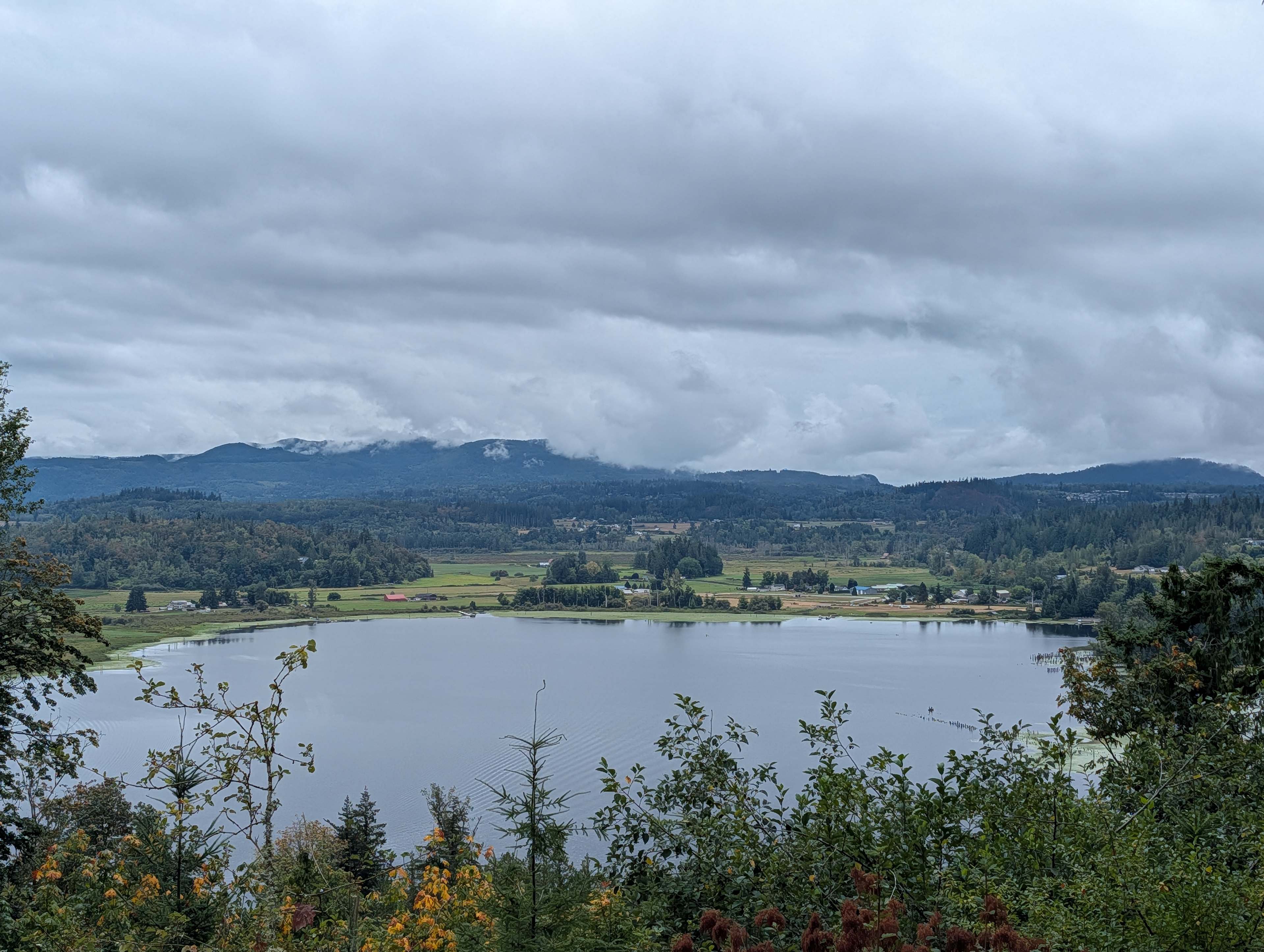 The Lookout