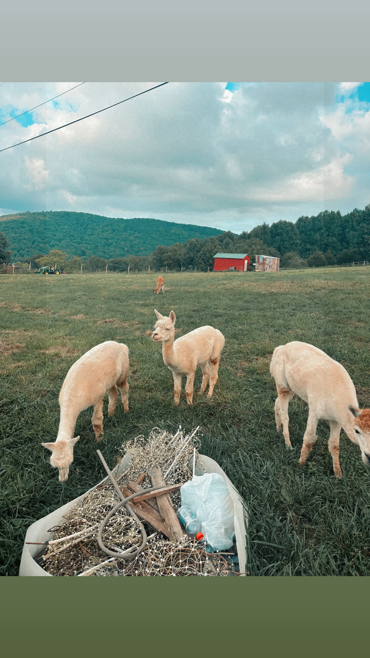 Beespoke Farms