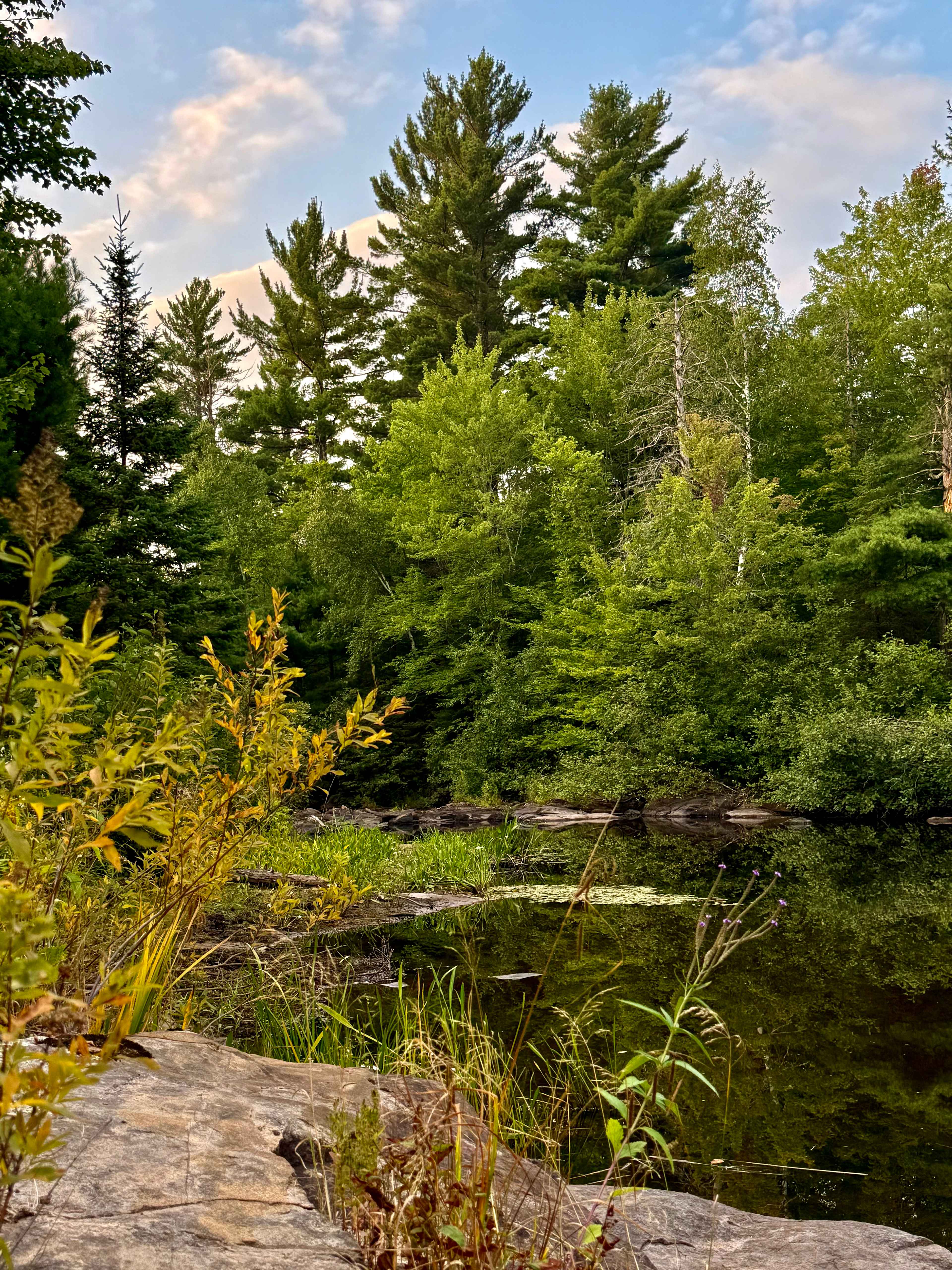 Bad River Wilderness
