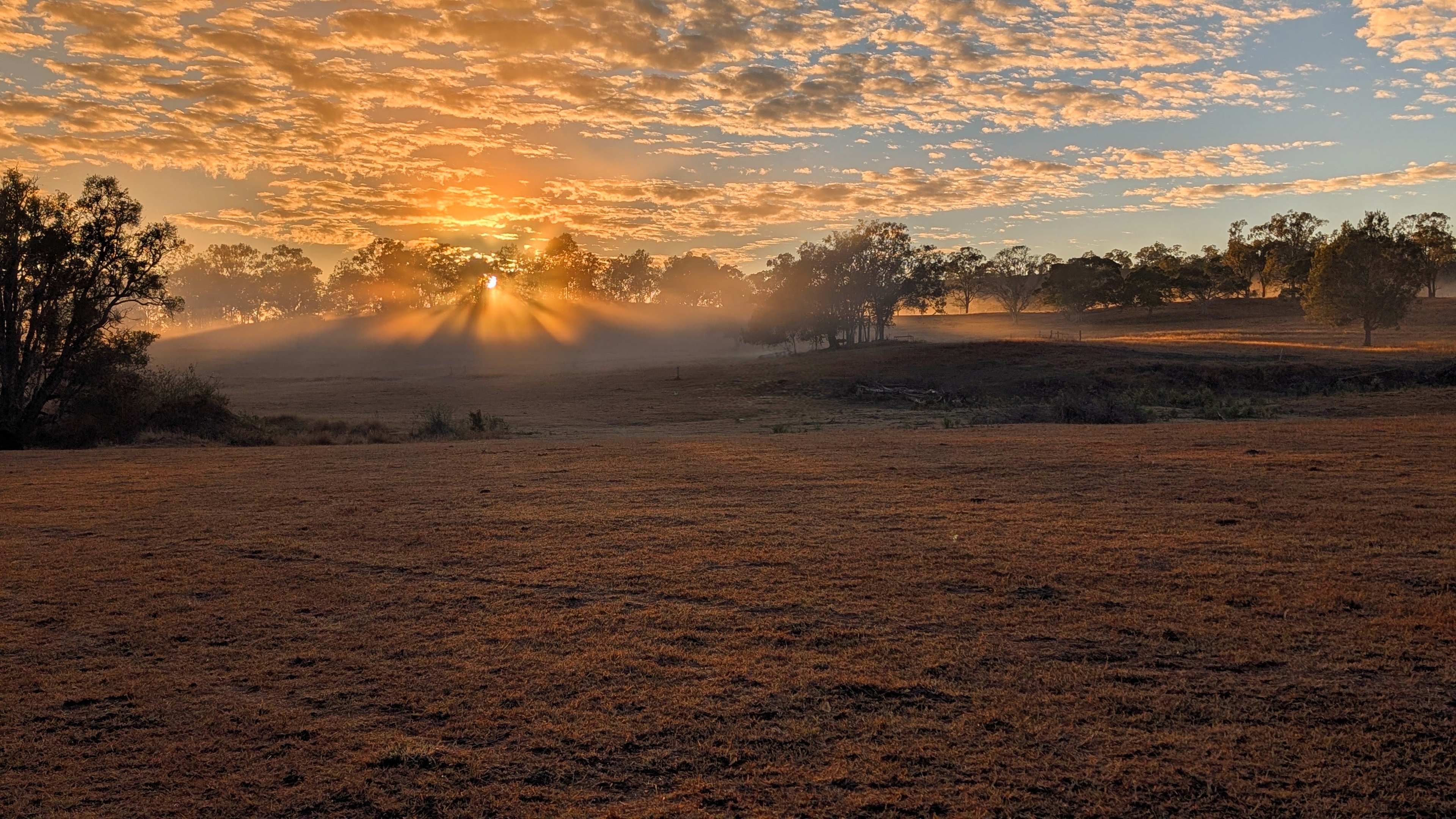 Sunrise