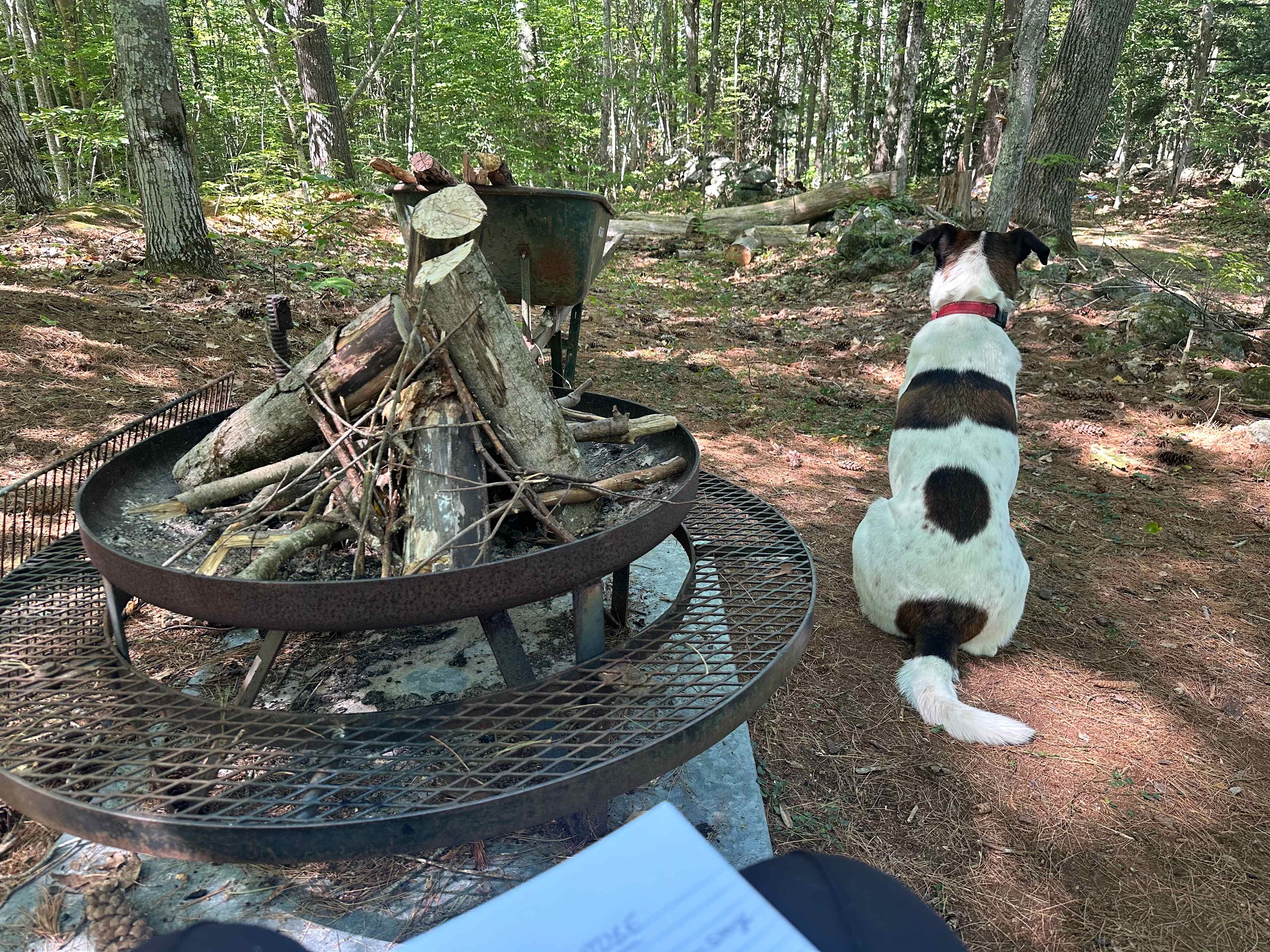 Wapack Trail Cabin
