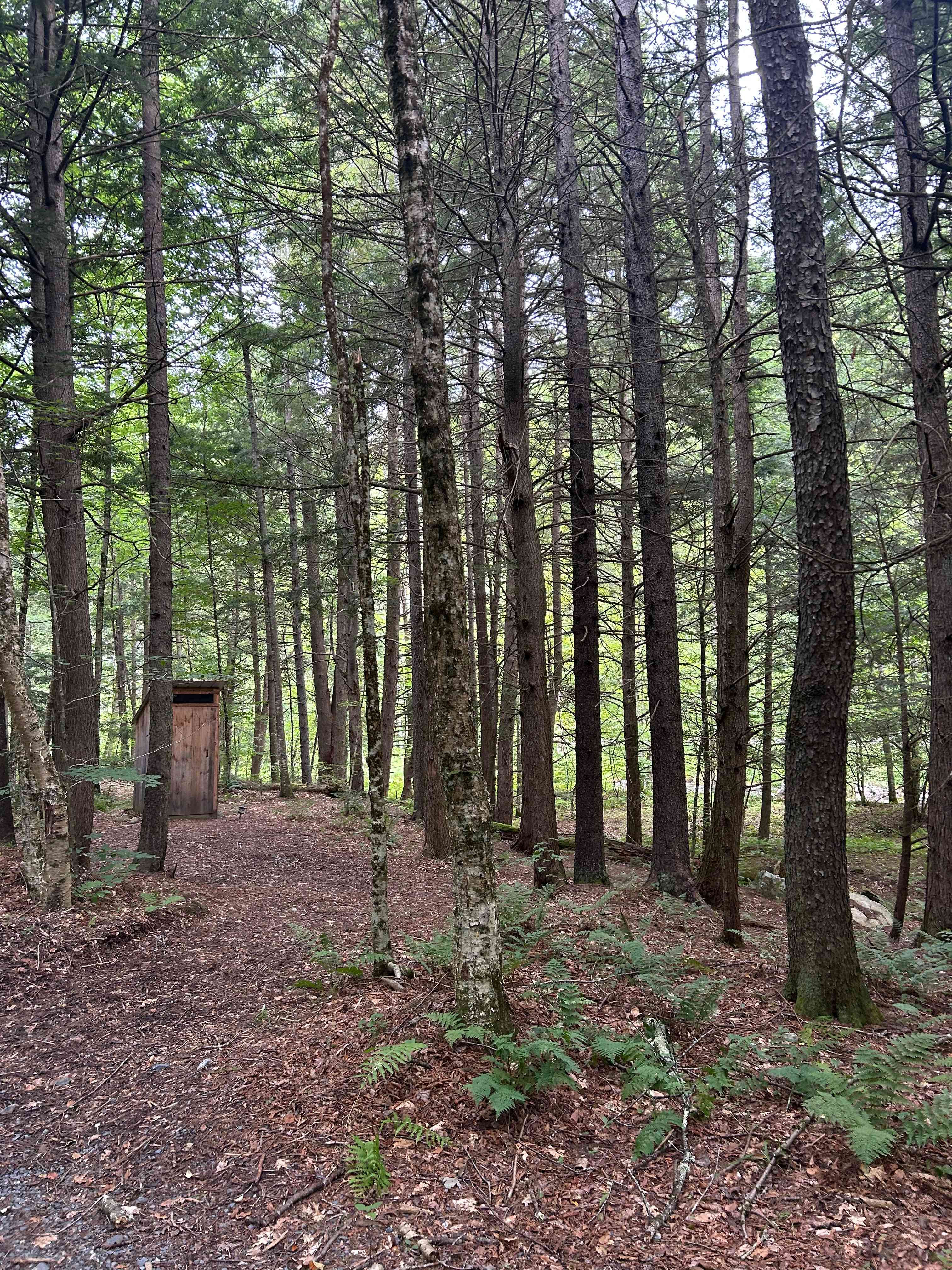 Clean outhouse! 