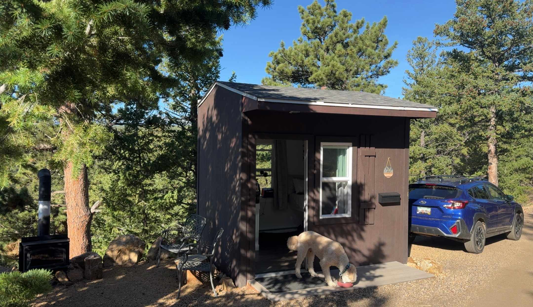 The Bluebear at Y Double-K Ranch