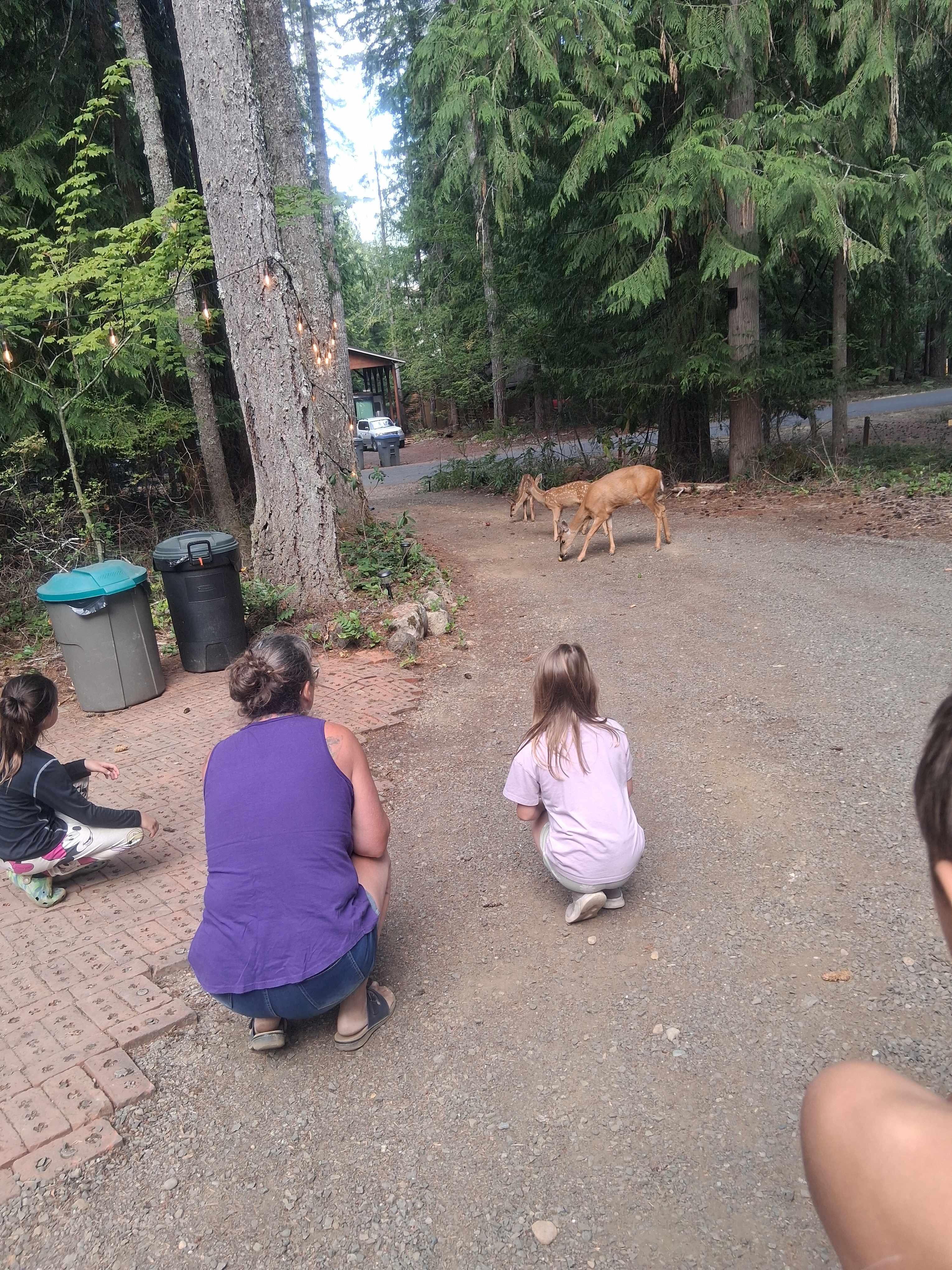 Kevin's Place at Lake Cushman