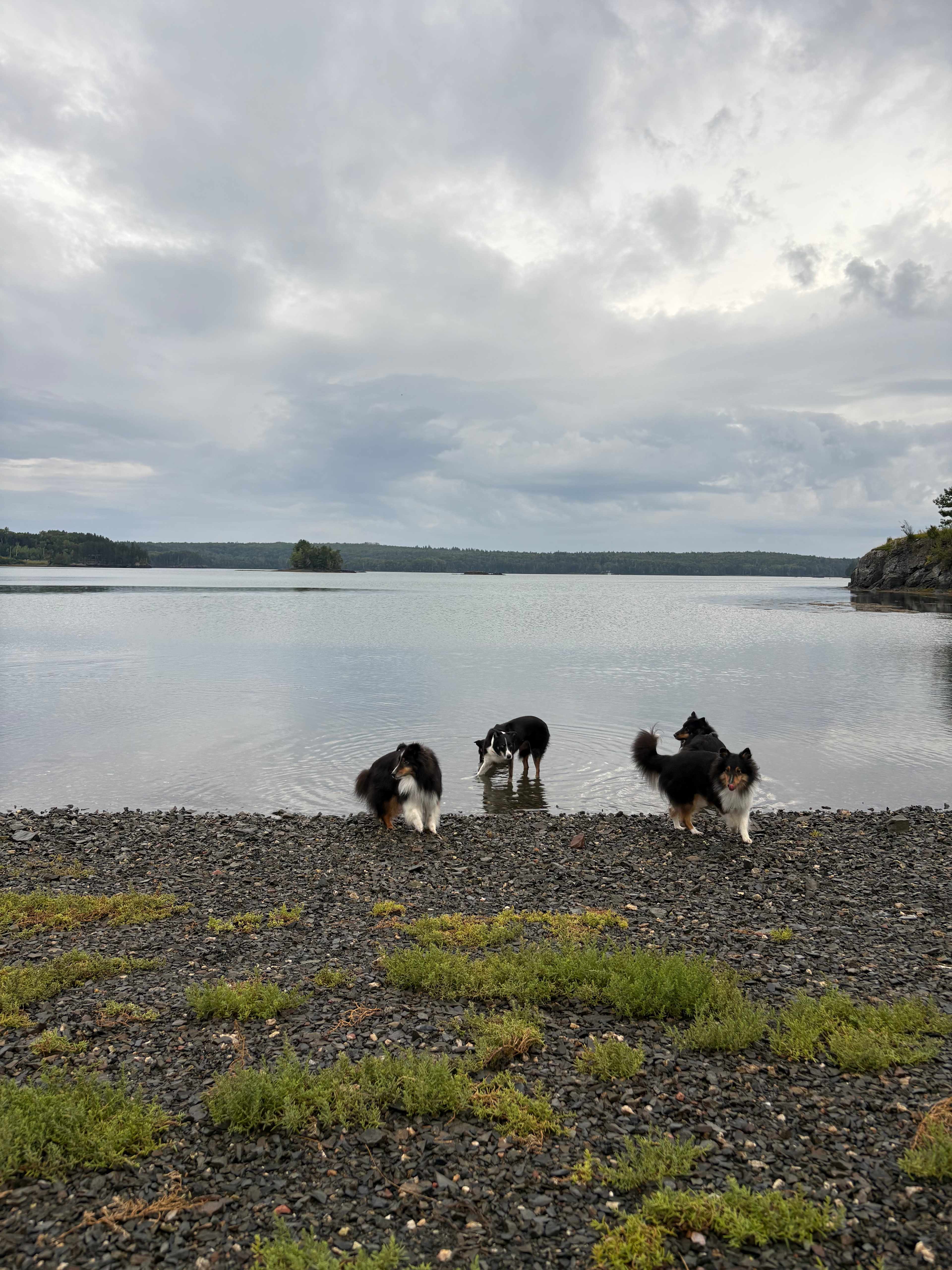 Mouth of the Magaguadavic Camping