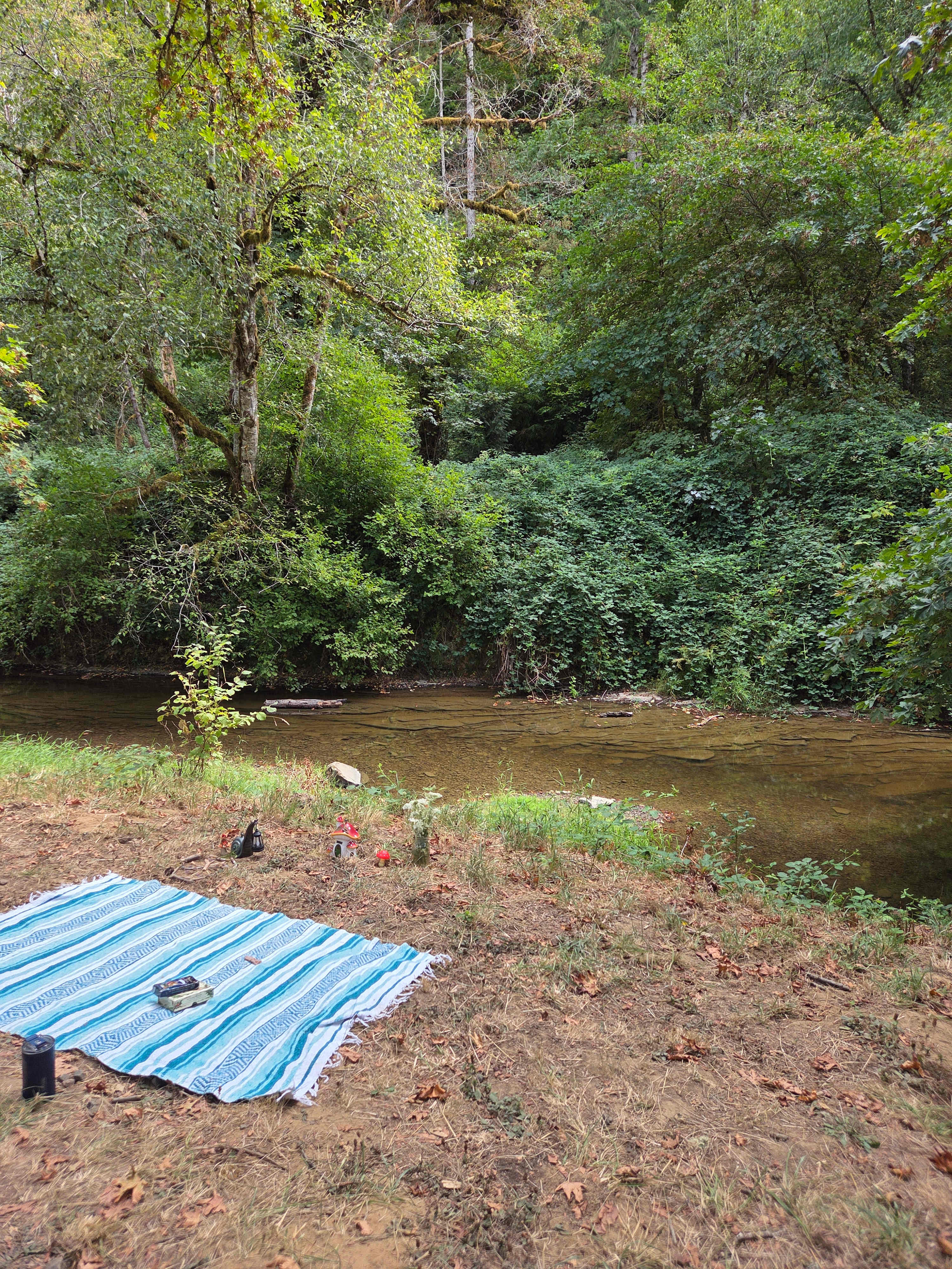 Camp Paradise Creek