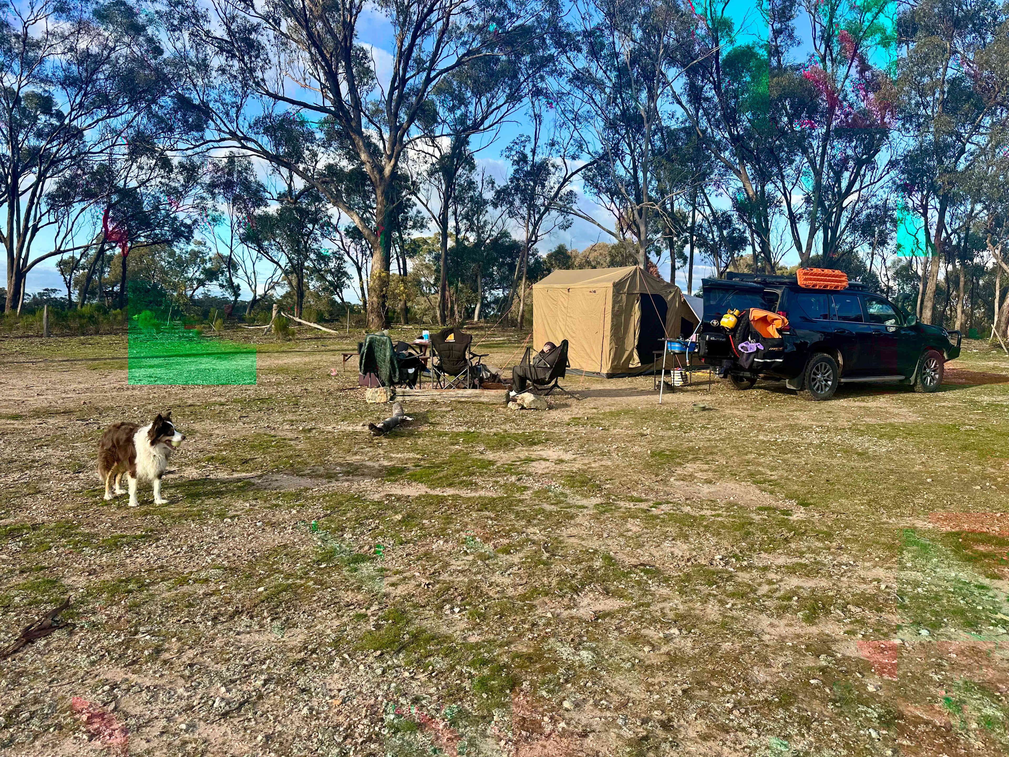 Somerville Park (Bendigo)