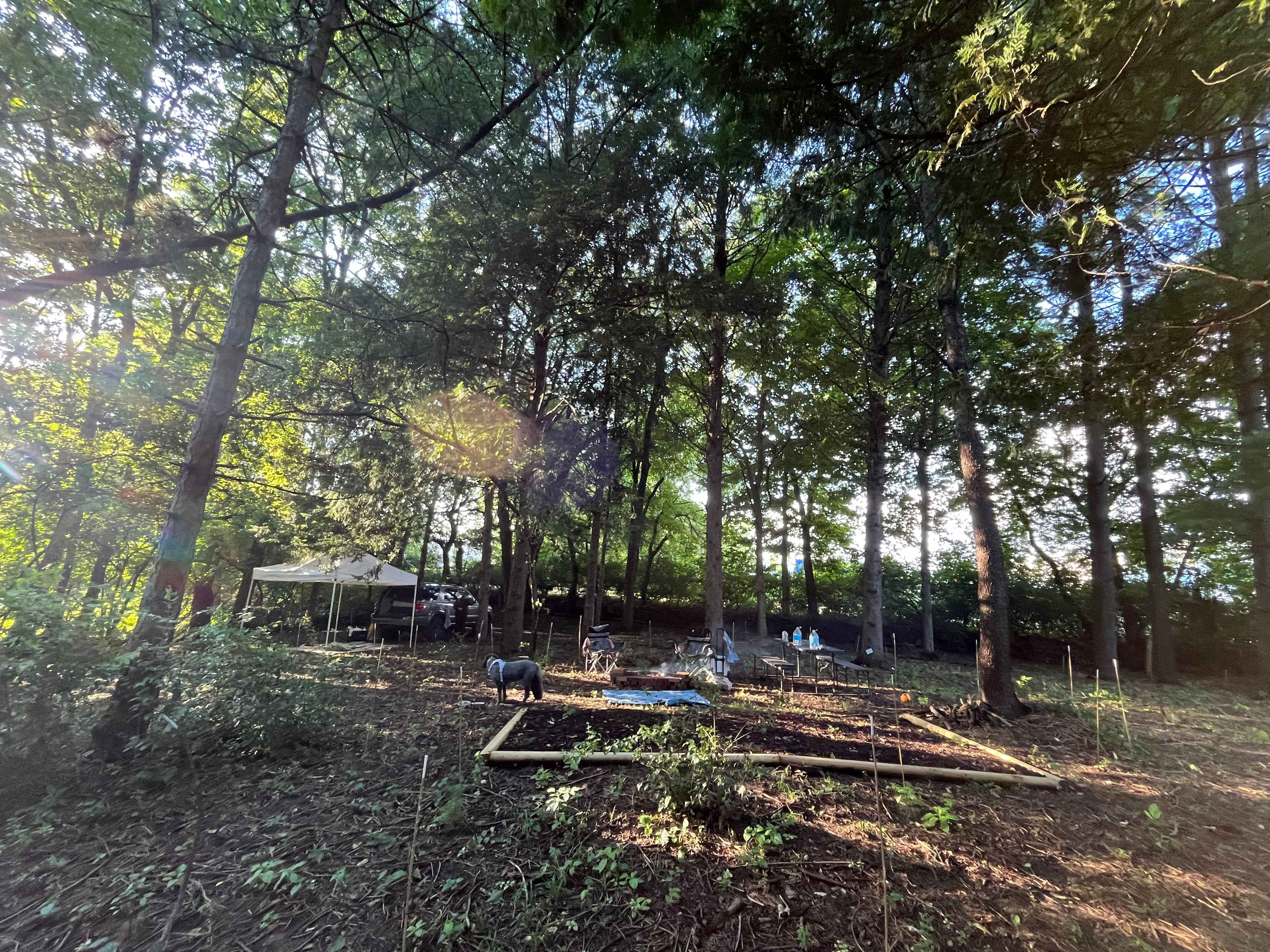 Lalu Acres