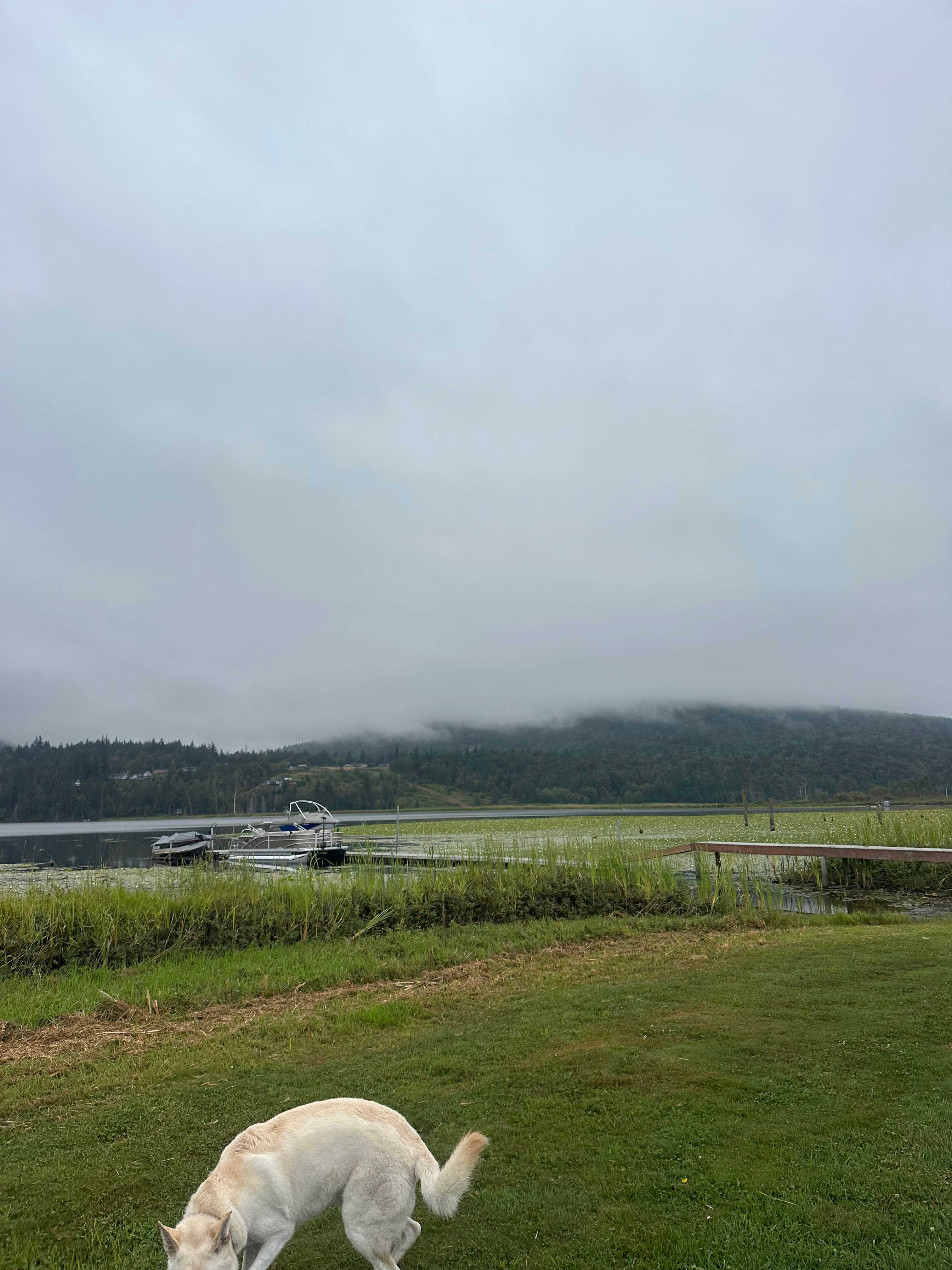 Vital Farm at Clear Lake