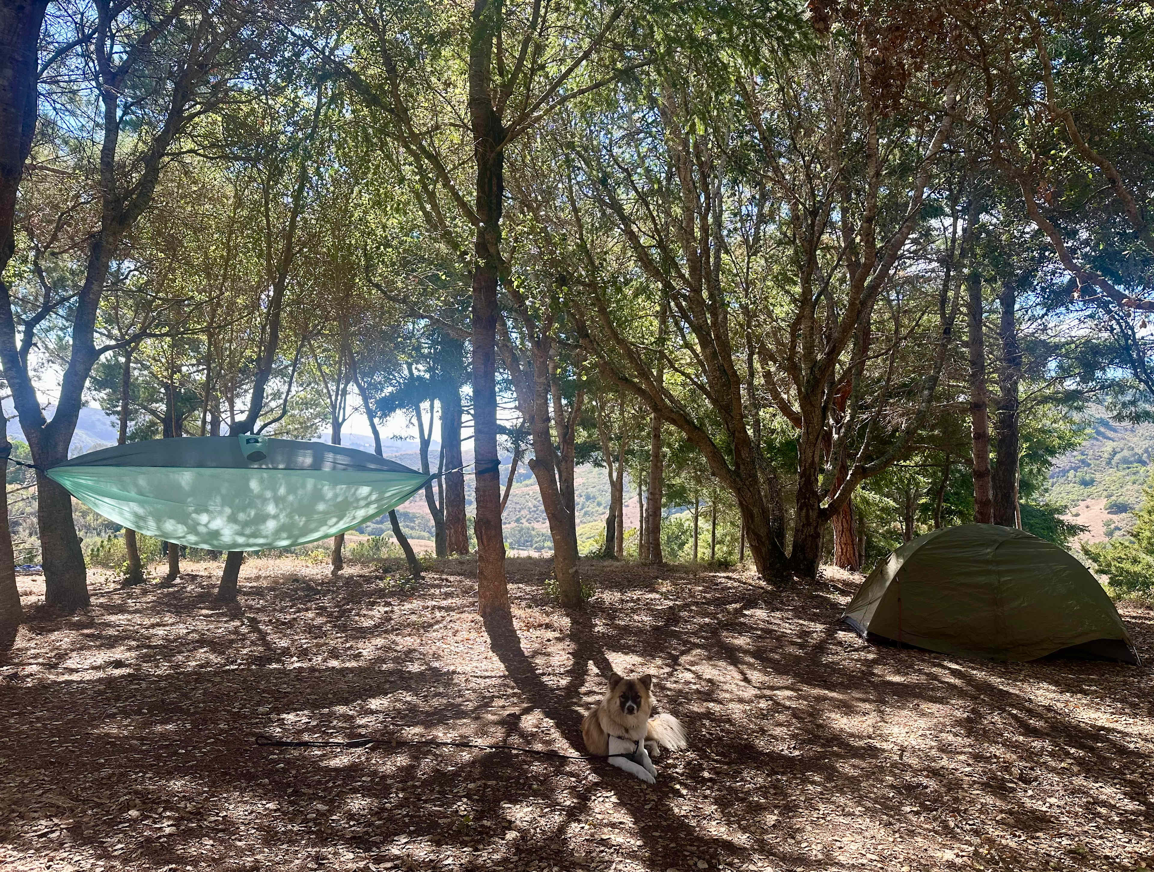 Bear Gulch Hide Out