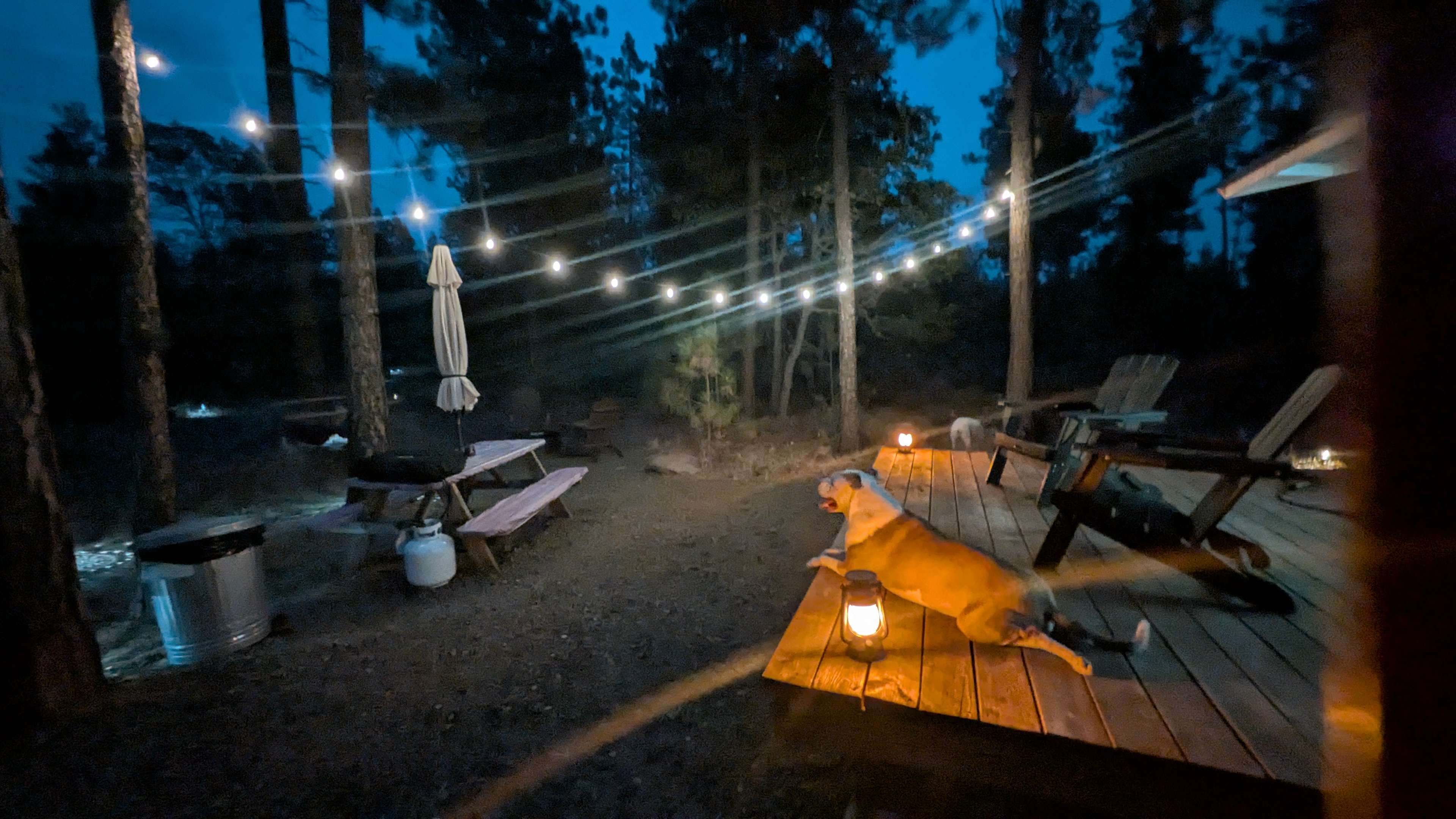 Starlit Glamping LLC