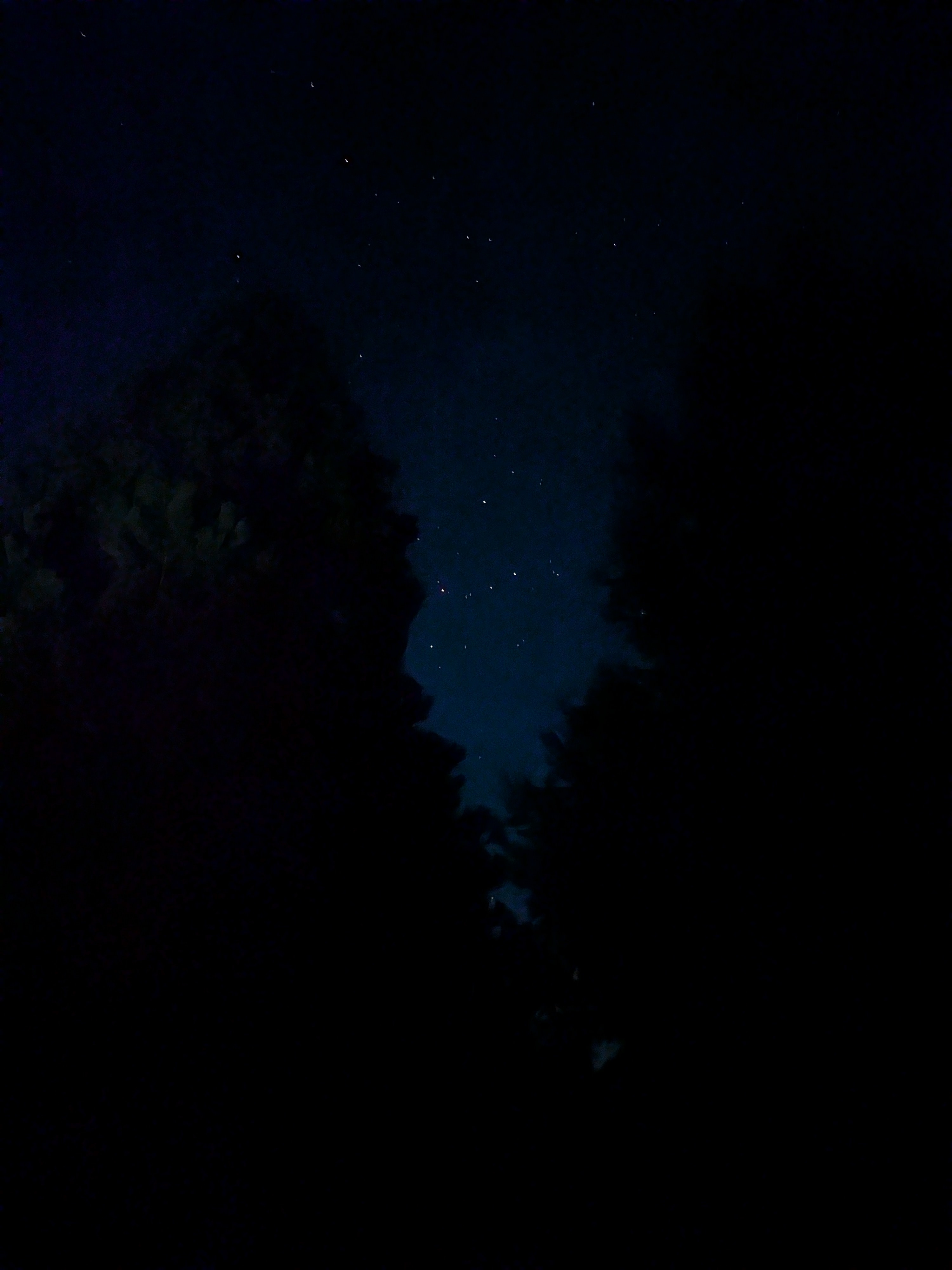 Yosemite Colfax Spring