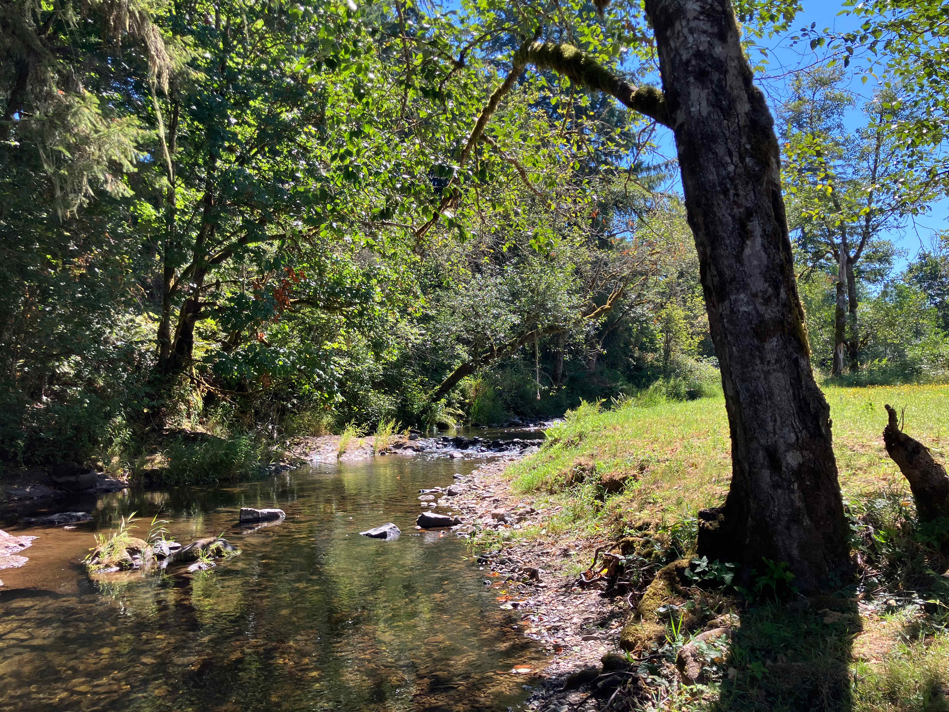 Western Meadow Creekside Retreat