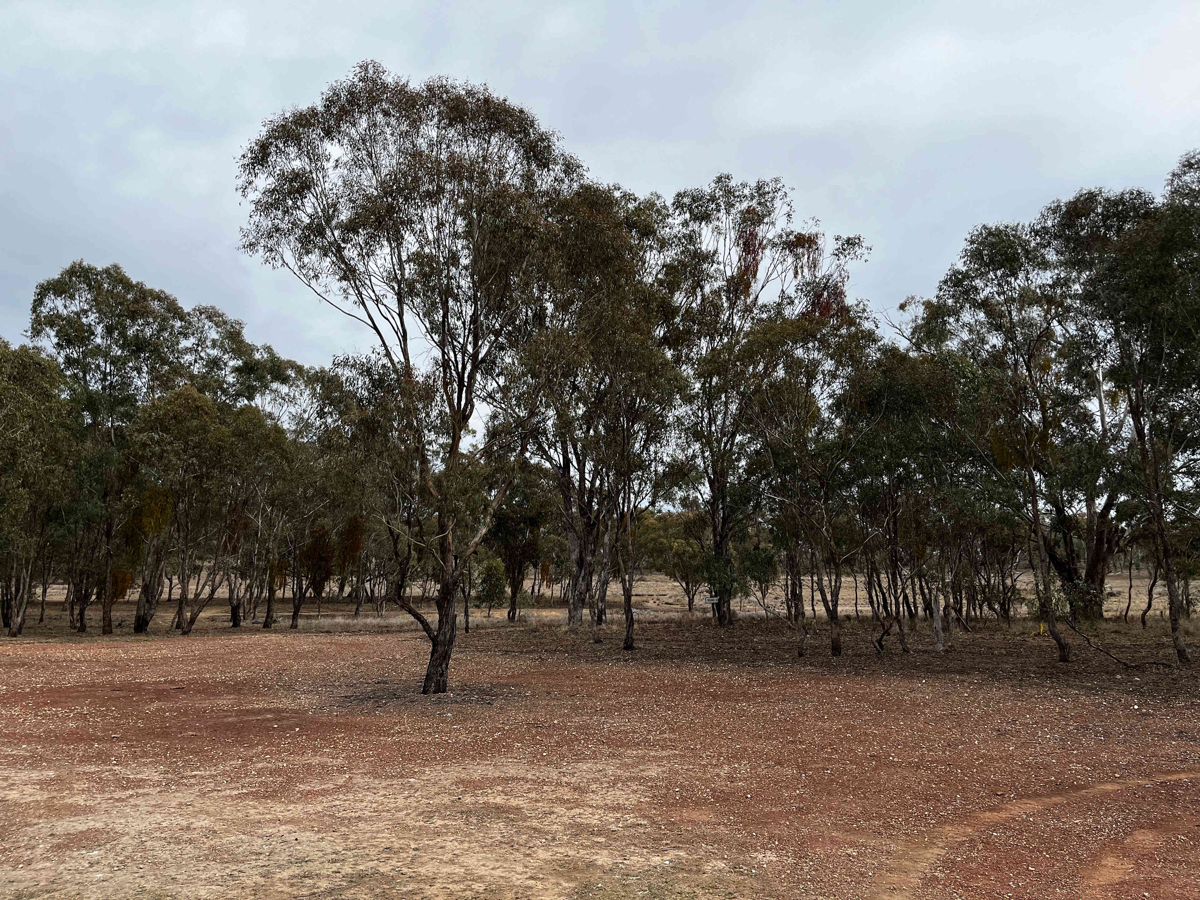 Carbean Camping & Farmstay