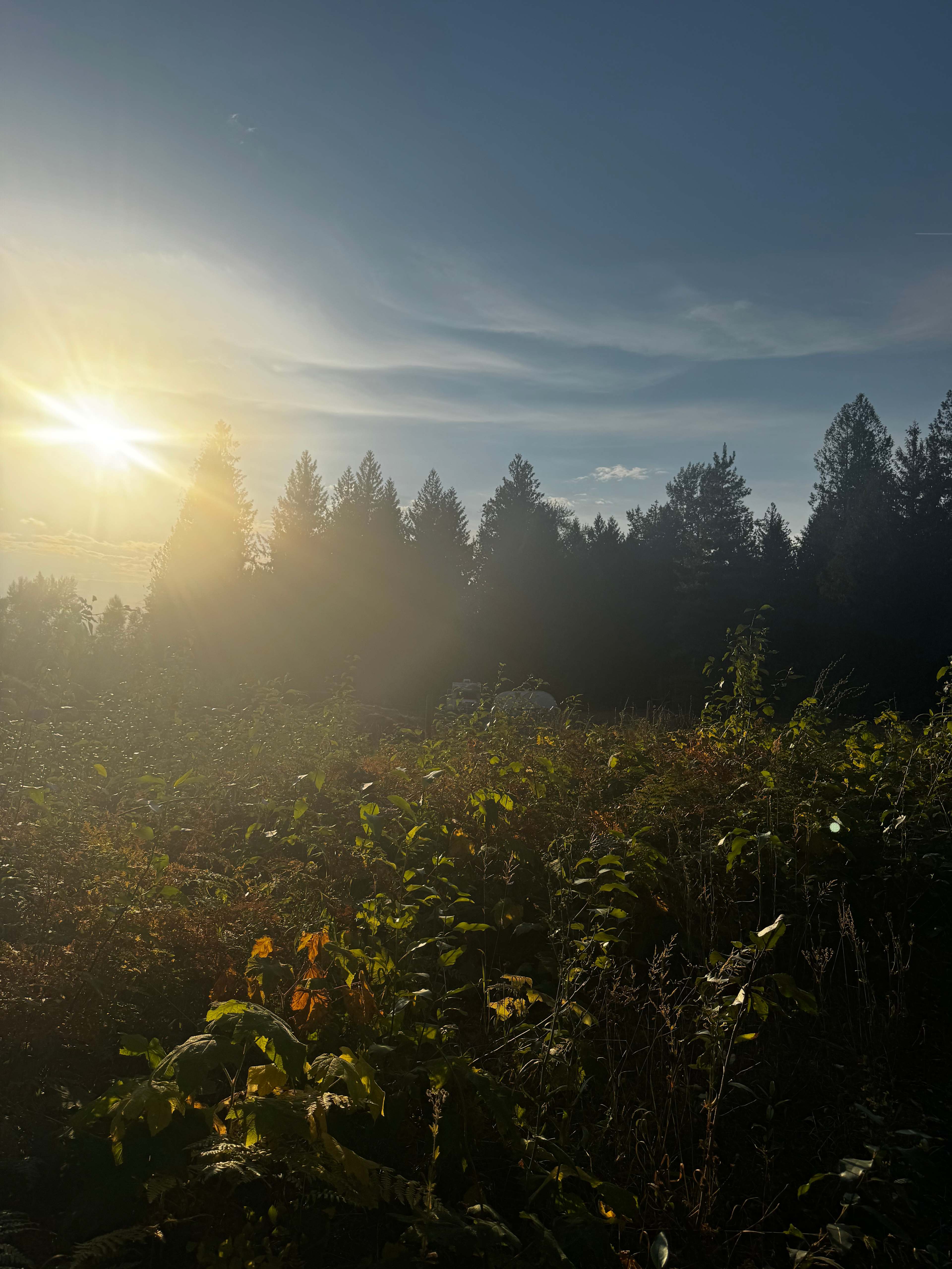 Olich Creek Farm