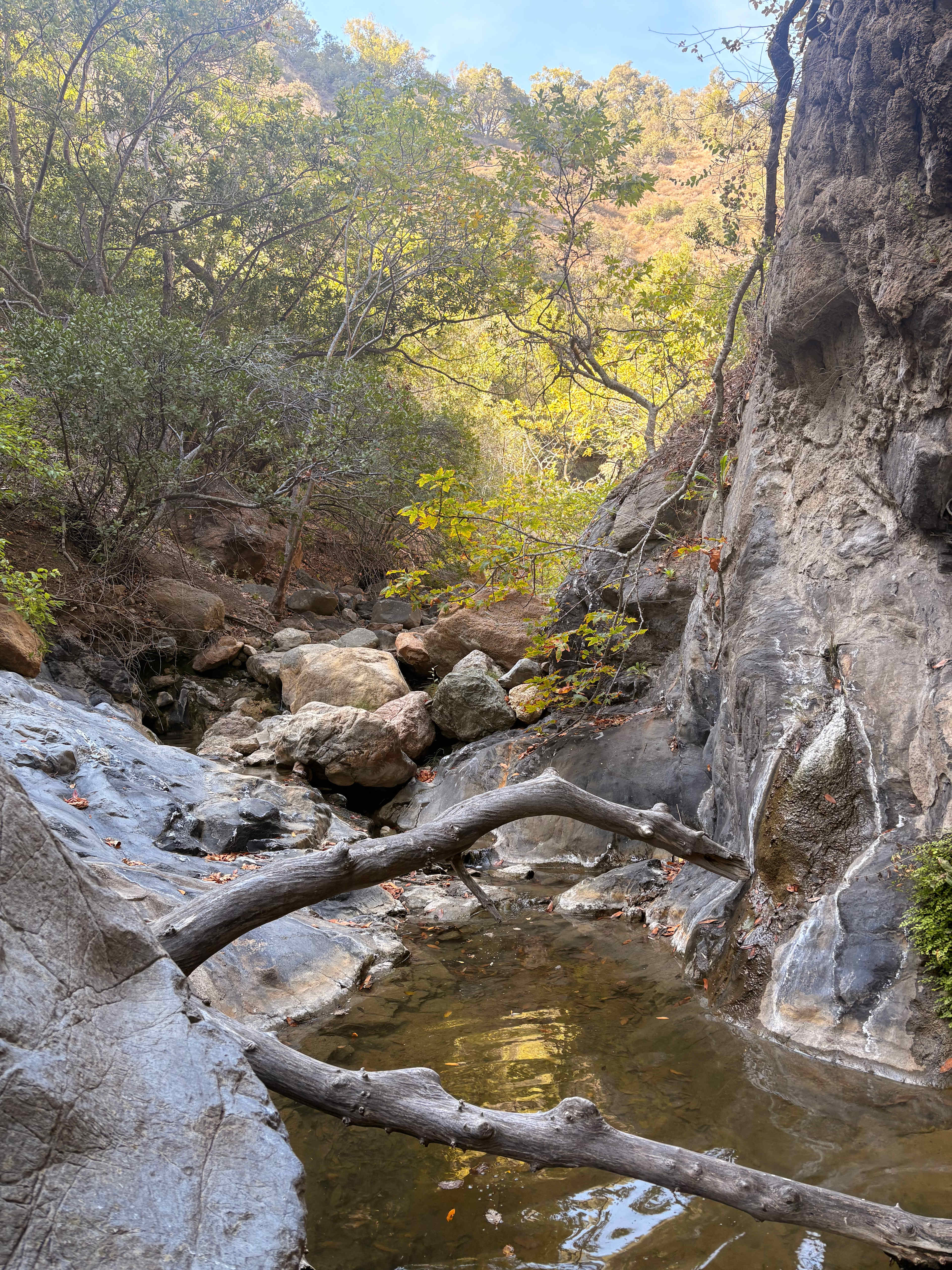 Creekside Camping and Mineral Baths