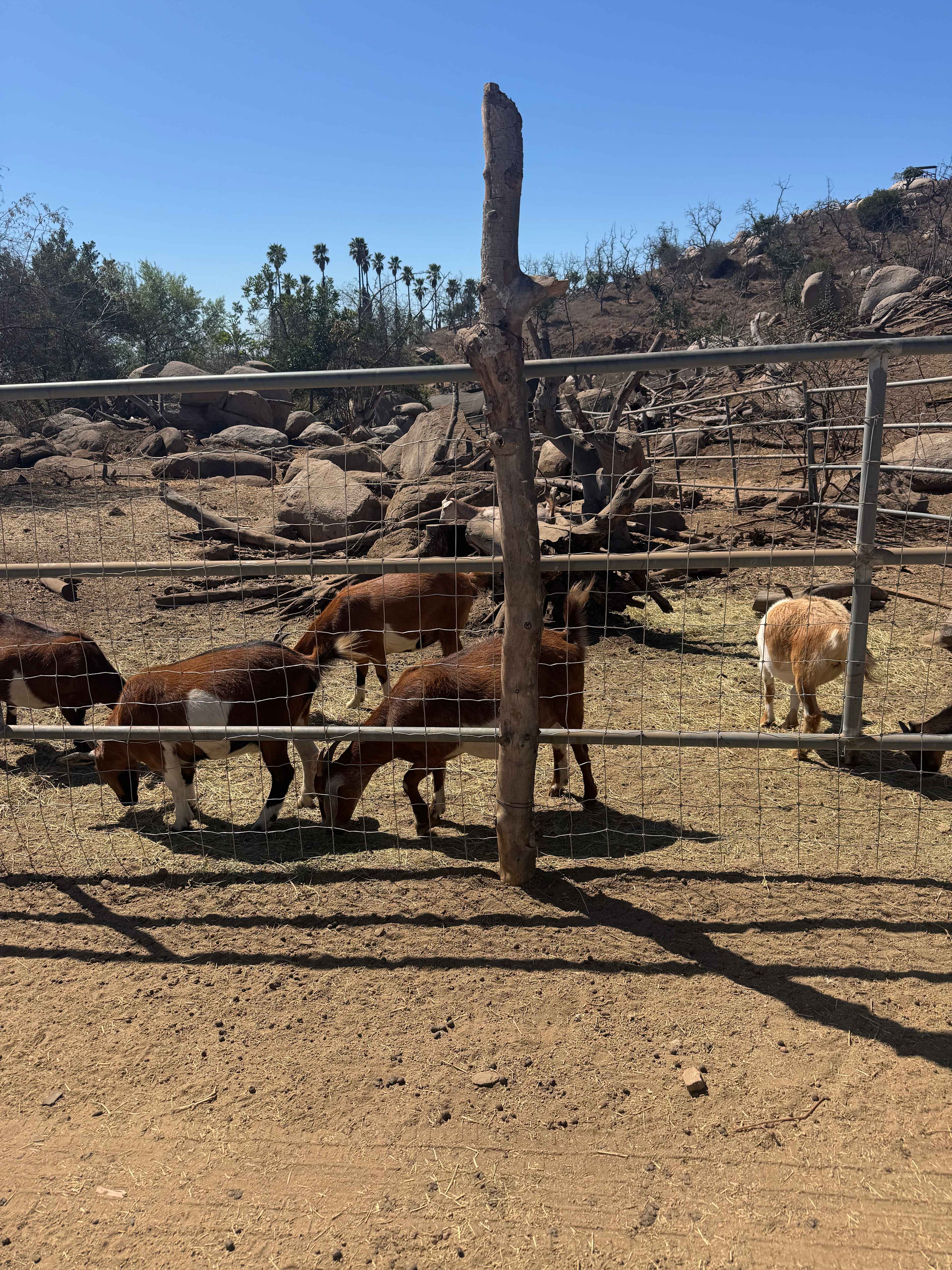 Splitrock Farm and Retreat