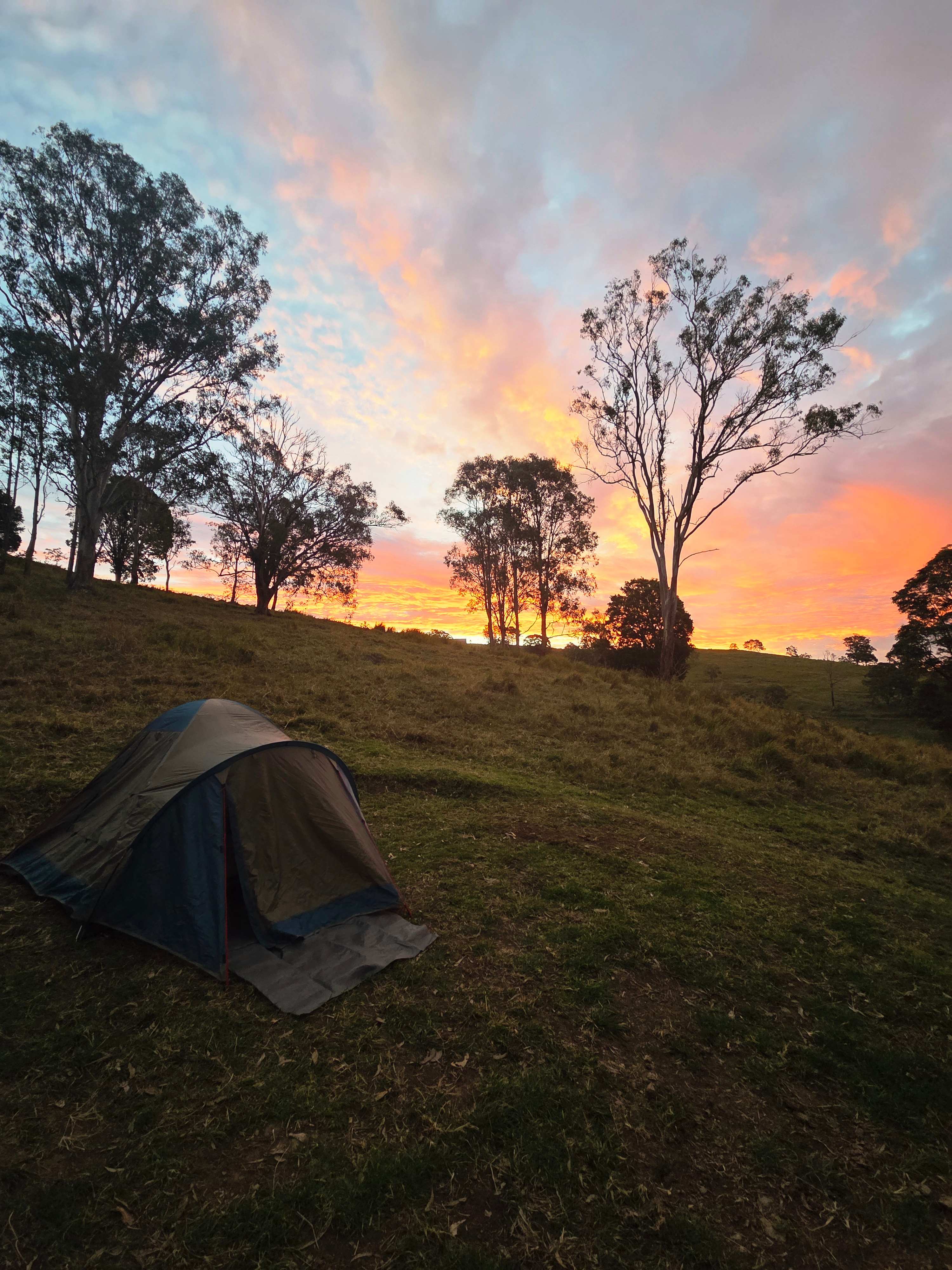 Coorie Vale